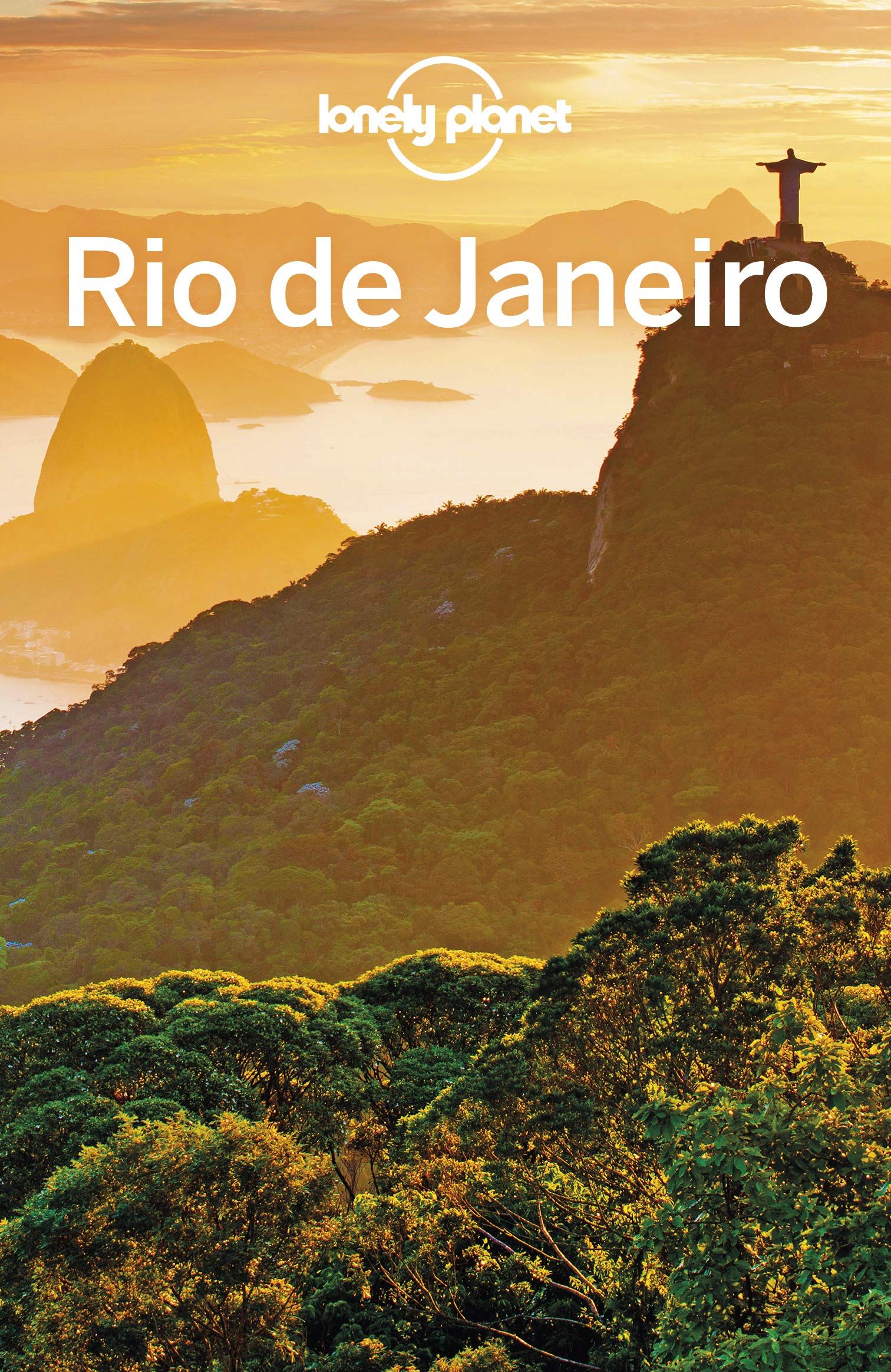 Lonely Planet Rio de Janeiro (Travel Guide)