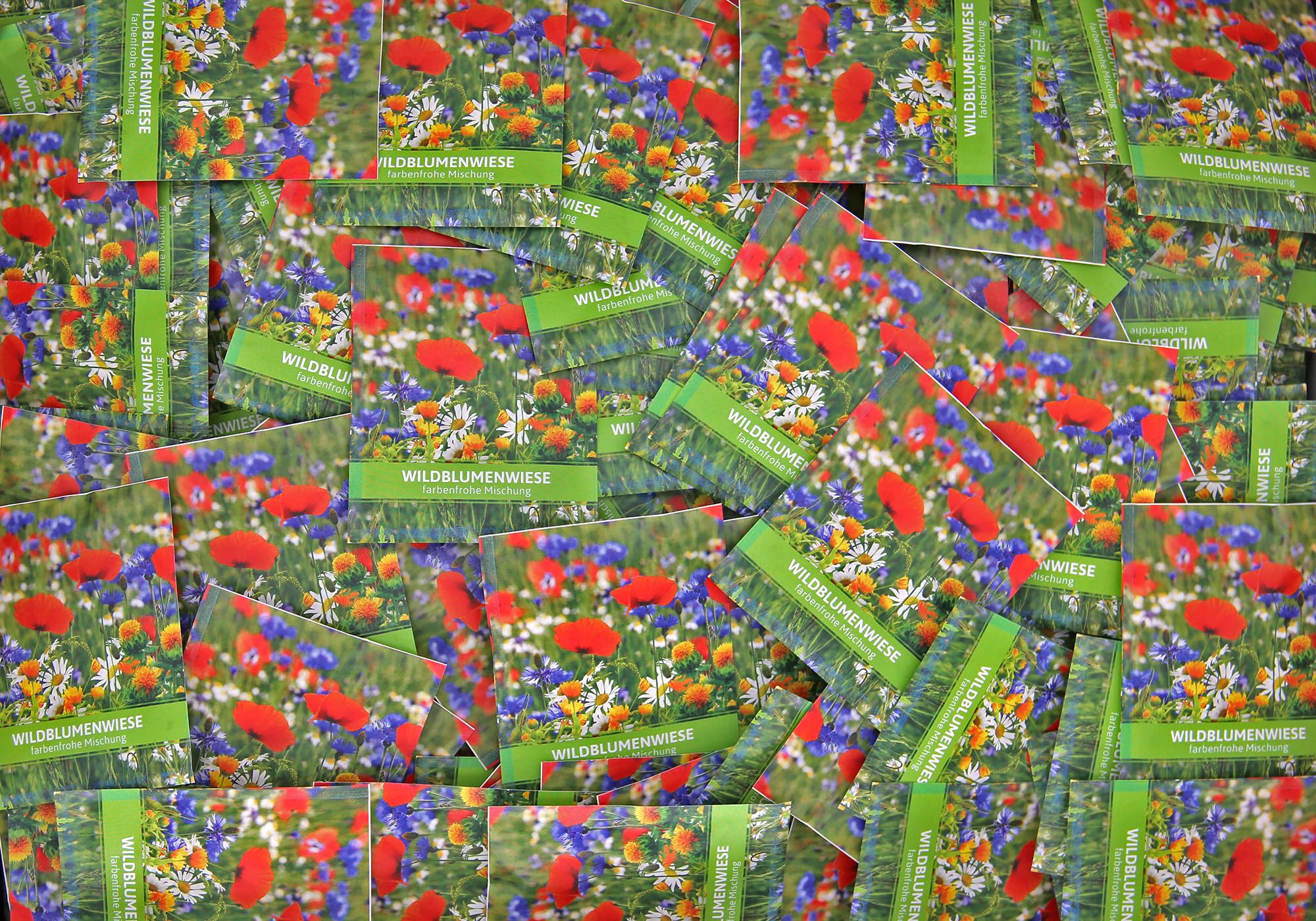FLORTUS Wildblumenwiese für Gastgeschenke (500 Stück) | Wildblumensamen für Bienen & Insekten als Dankeschön Geschenke & Werbegeschenke