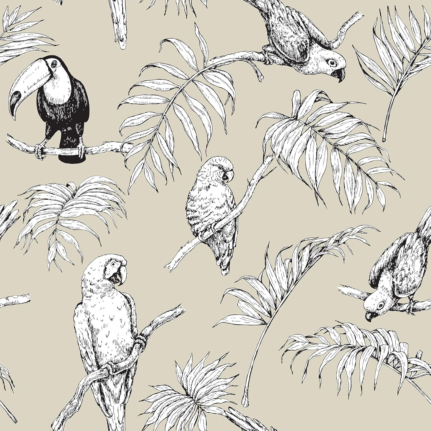 Walls By Me Peel and Stick White Bird Animal Removable Wallpaper 4868-2ft x 4ft (61x122cm)