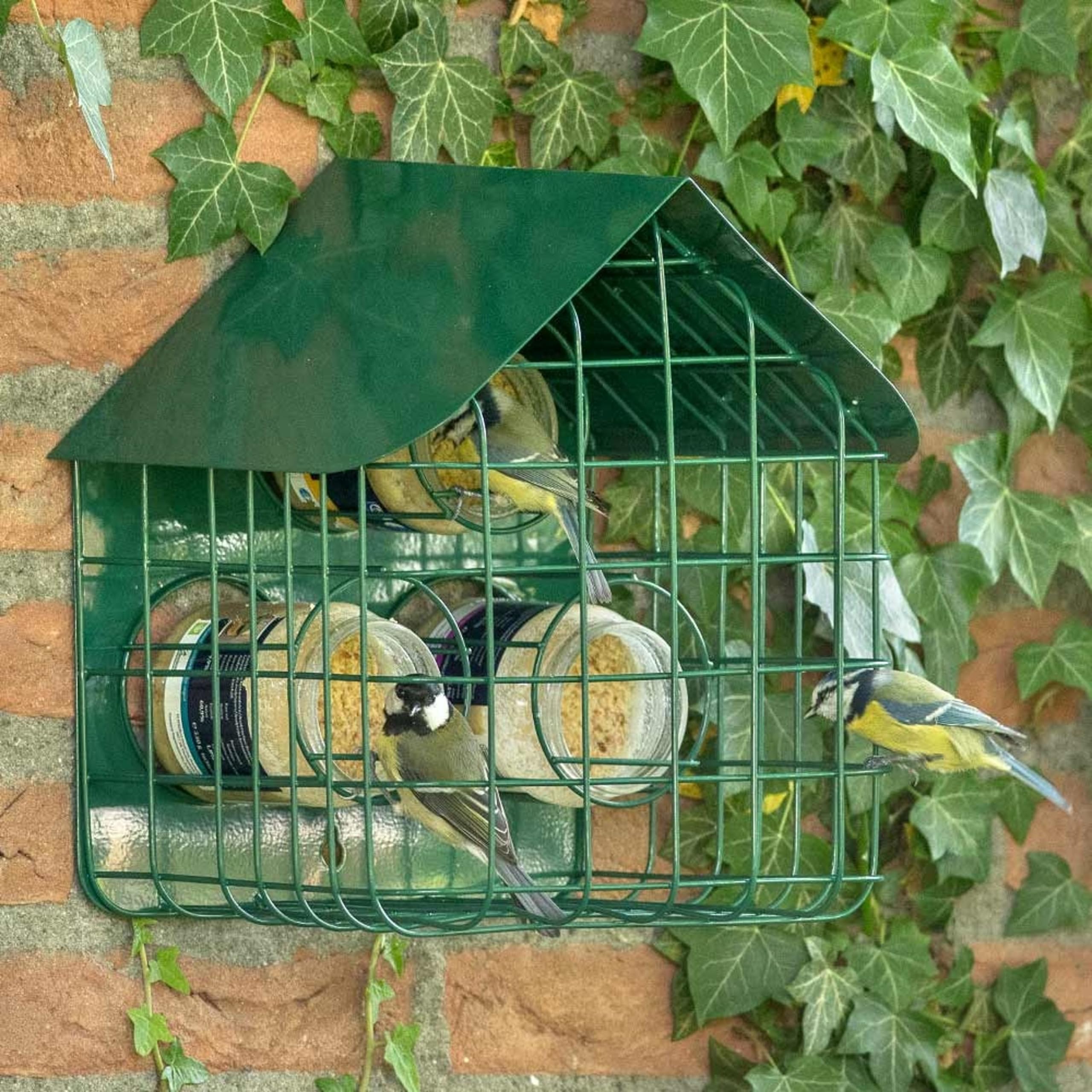 CJ Wildlife Erdnussbutterhaus – Vogelhaus zum Aufhängen mit Schutzgitter – Metall Grün – 3-Fach Halter für Erdnussbuttergläser
