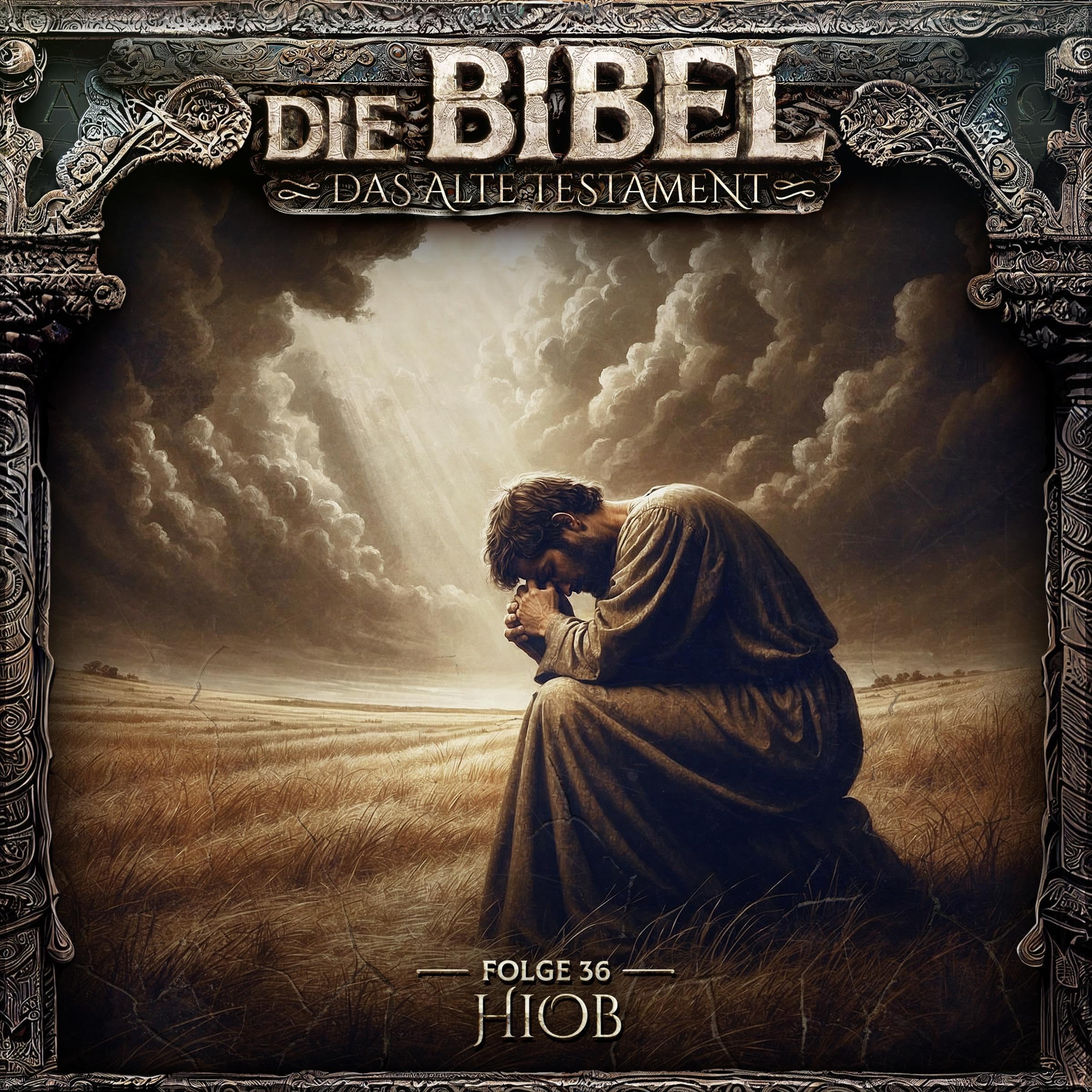 Cover art for Hiob