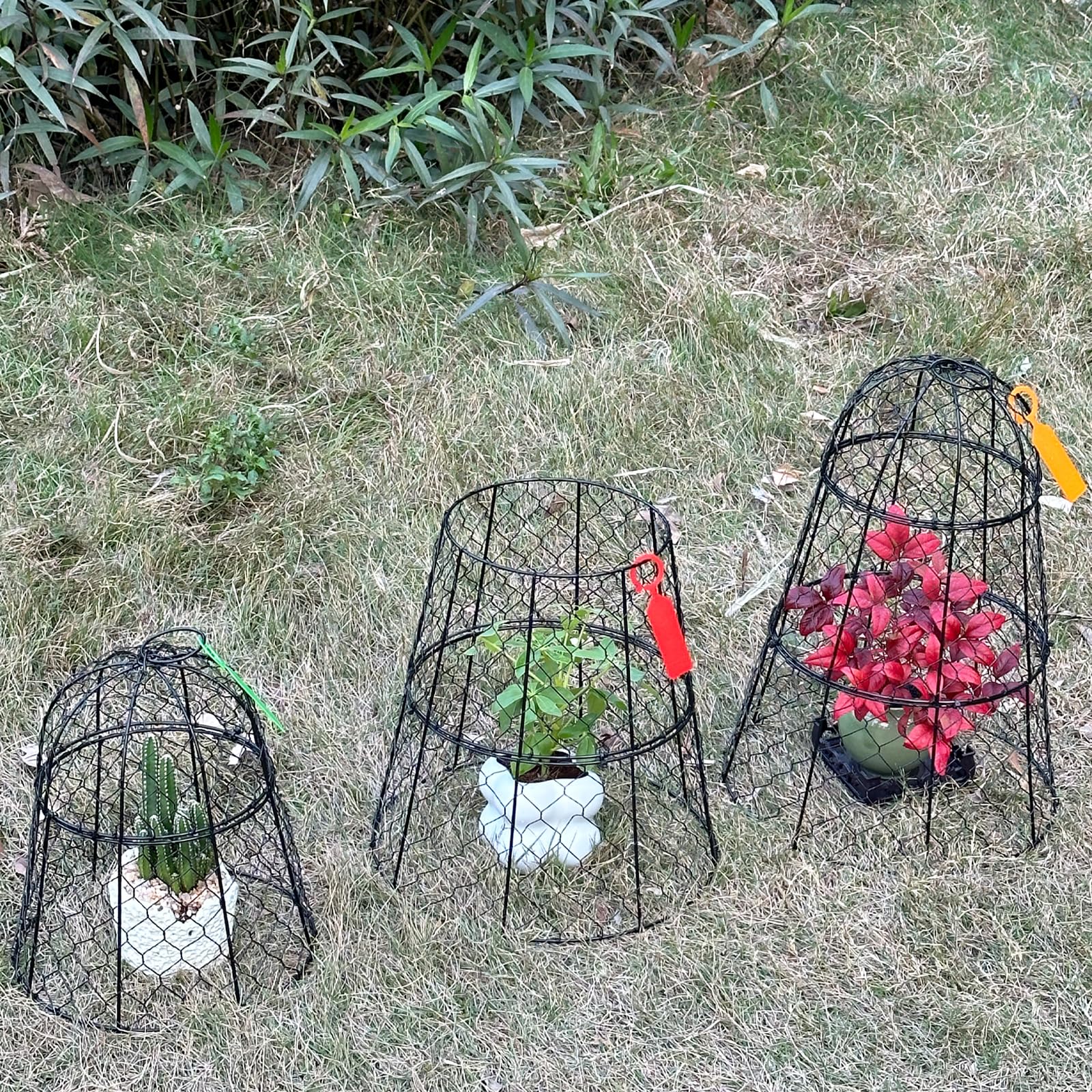 3 protectores para plantas