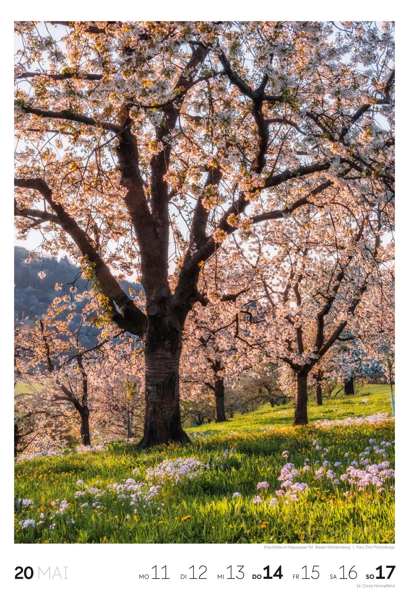 Natur Wochenkalender 2026 | Natur-Kalender mit 53 großformatigen Bildern im Hochformat (29x42 cm) | Heimische Flora und Fauna