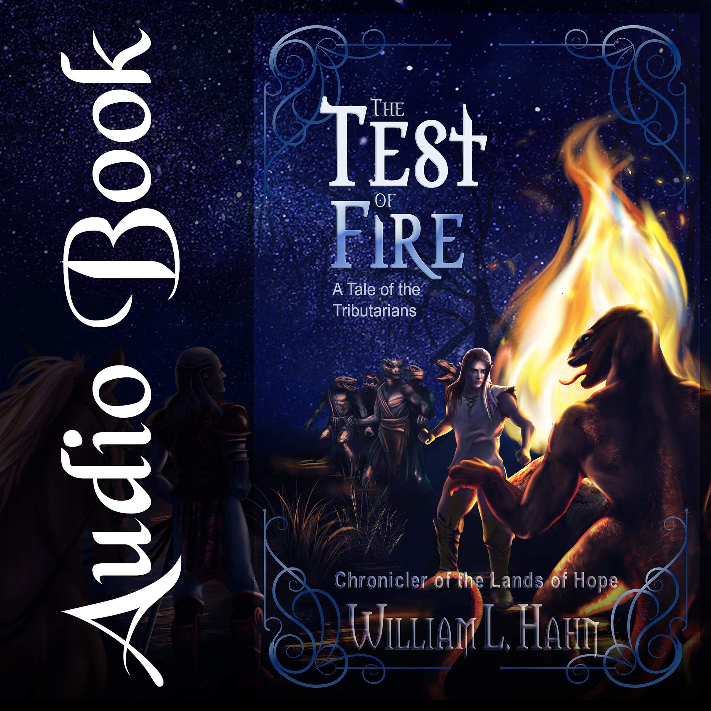 Cover art for The Test of Fire (A Sword and Sorcery Novel From the Lands of Hope)