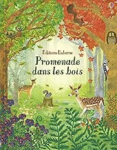 Download Promenade dans les bois PDF