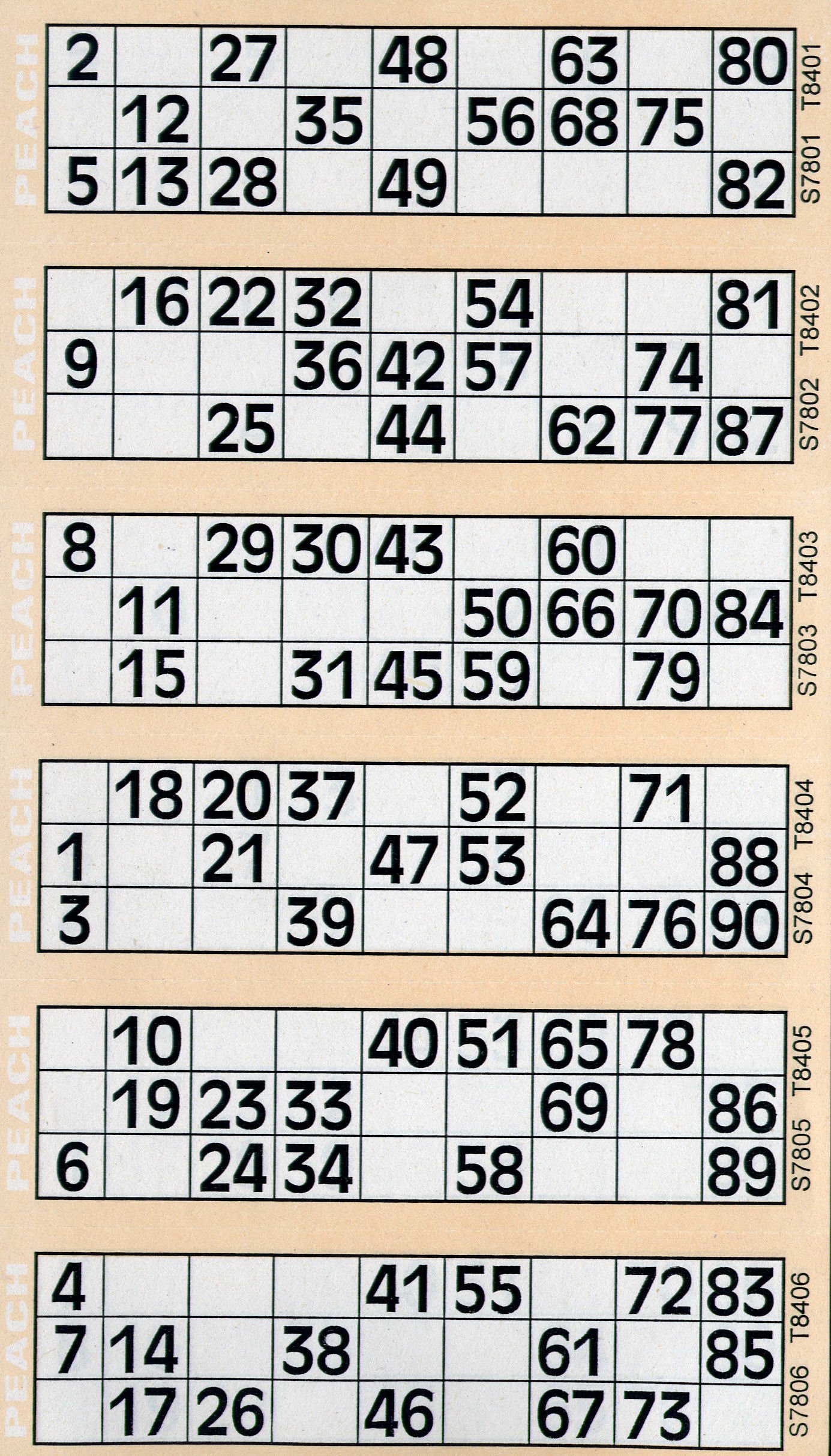 Thomas & Anca Club Supplies Ltd 12000 12 to View Bingo Flyers Bingo Tickets (Peach)