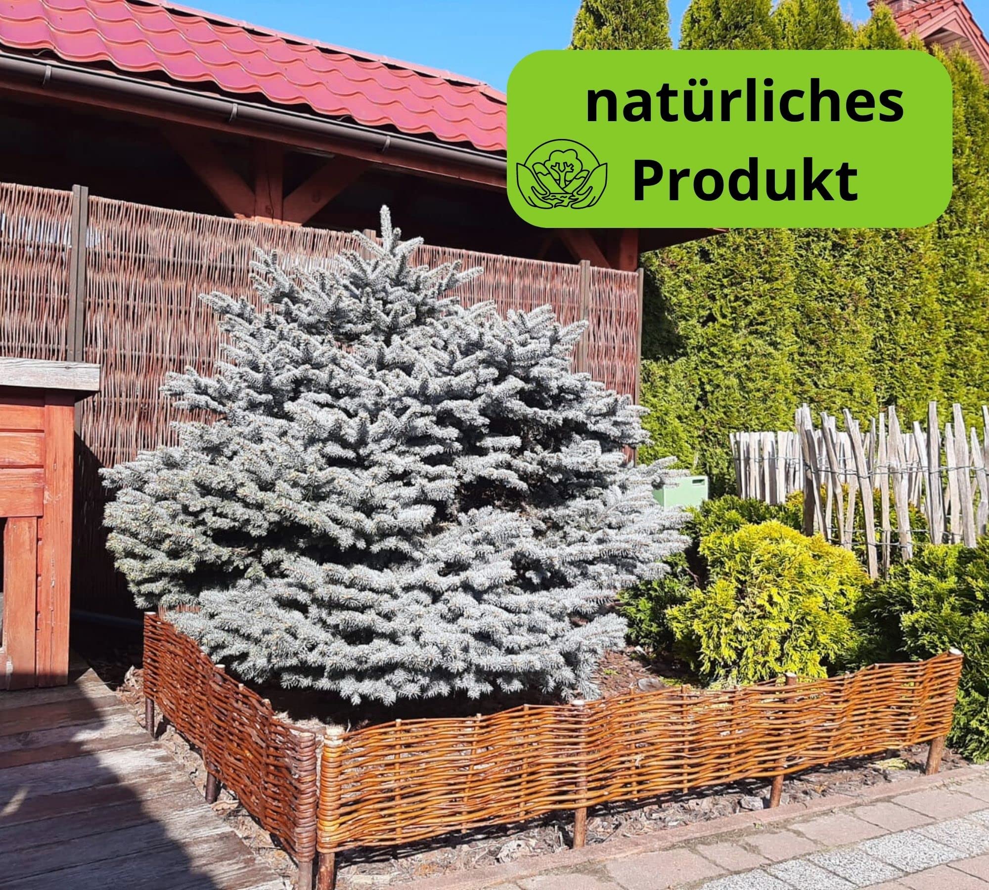 Paquete de 10 Borduras para Jardin - 100 cm x 20 cm - Natural - Hecha a Mano - para Parterres, Huertos, Camas - Vallas para Jardin - Exterior