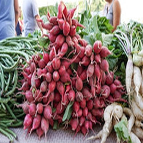 Chicken Asparagus Alfredo Lasagna Roll Ups - //medicalbooks.filipinodoctors.org