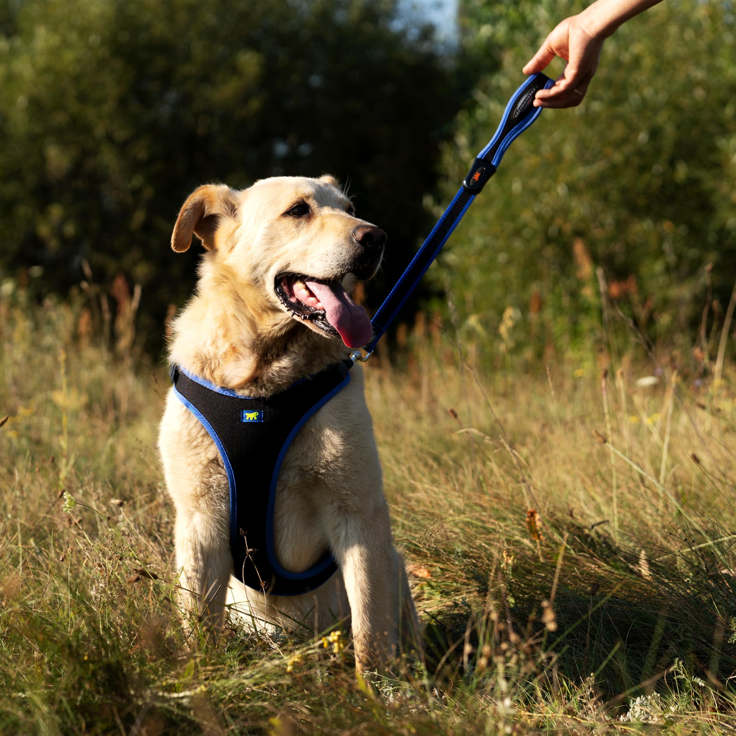 Ferplast Hundegeschirr für große Hunde ERGOCOMFORT, verstellbar, komfortabel, gepolstert, mit Schnellverschluss, Größe L, max. 40 kg. Silber