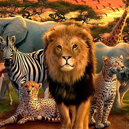 African Animals 4K Screensaver Wildlife and Animals with Relaxing Sounds 4K Screensaver for Amazon F