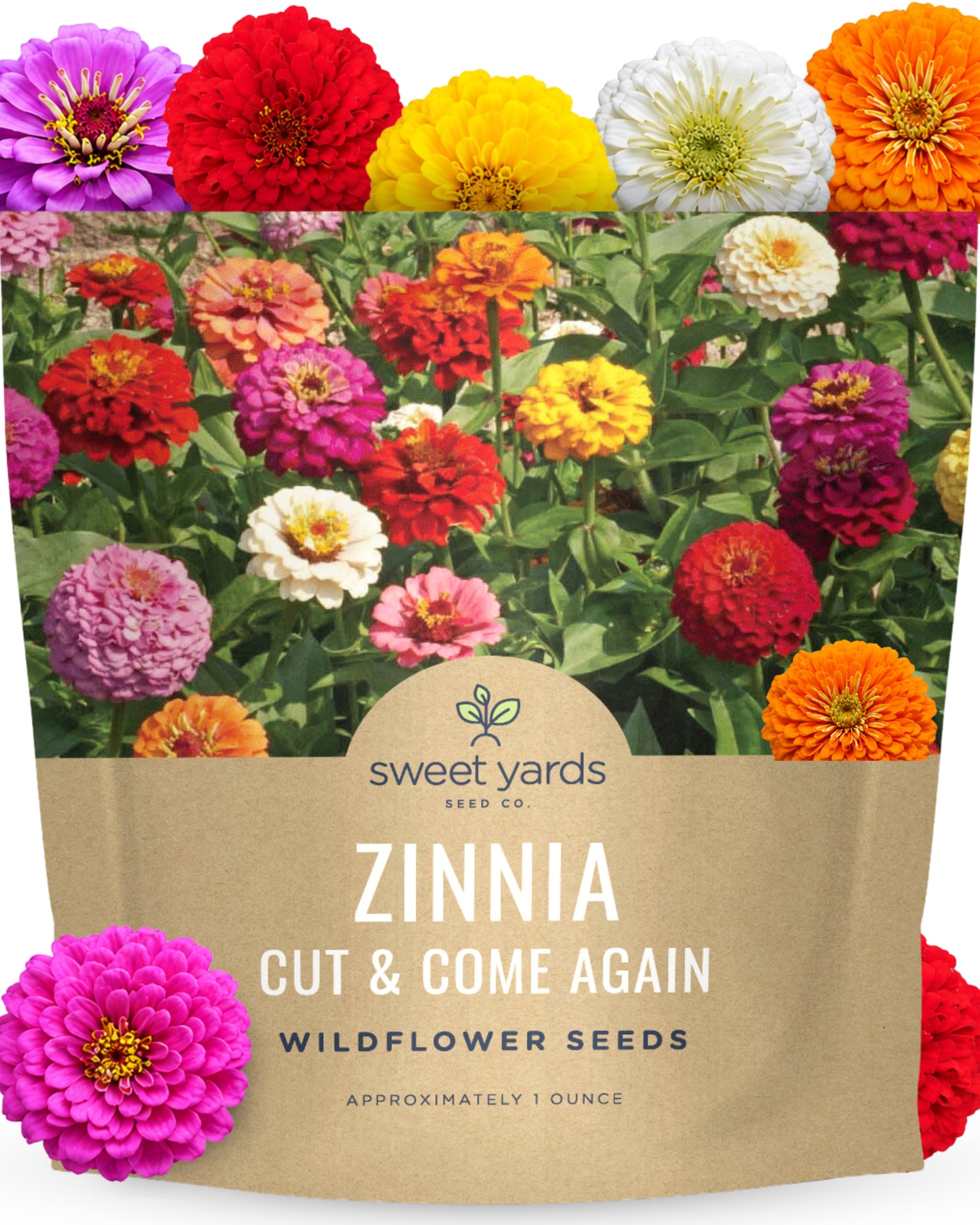 Zinnia Cut & Come Again Mix - Large 1 Ounce Packet - 4,000 Flower Seeds for Planting - Zinnia elegans