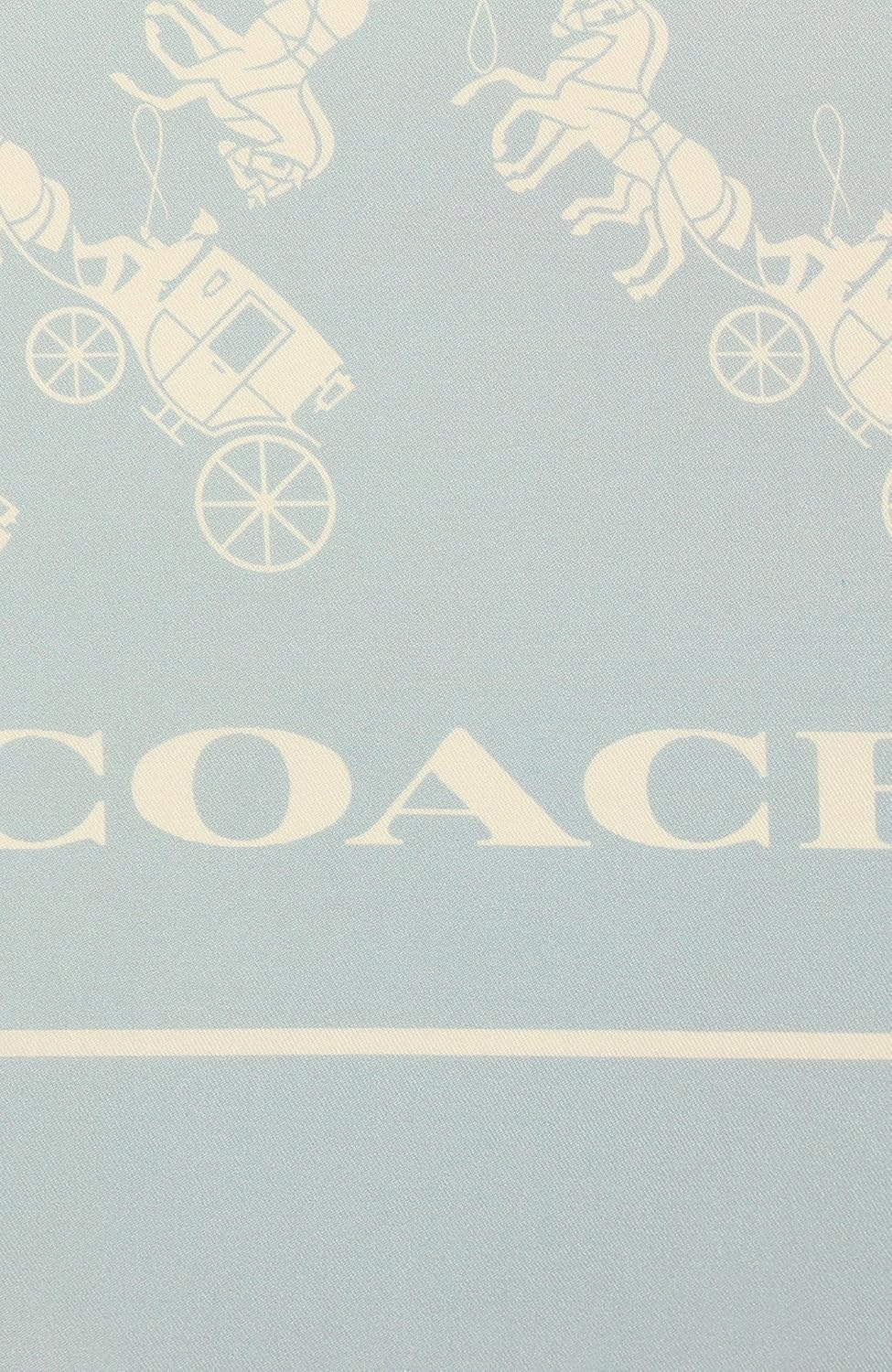 COACH womens Horse and Carriage Ombre Printed Silk Square - Image 4