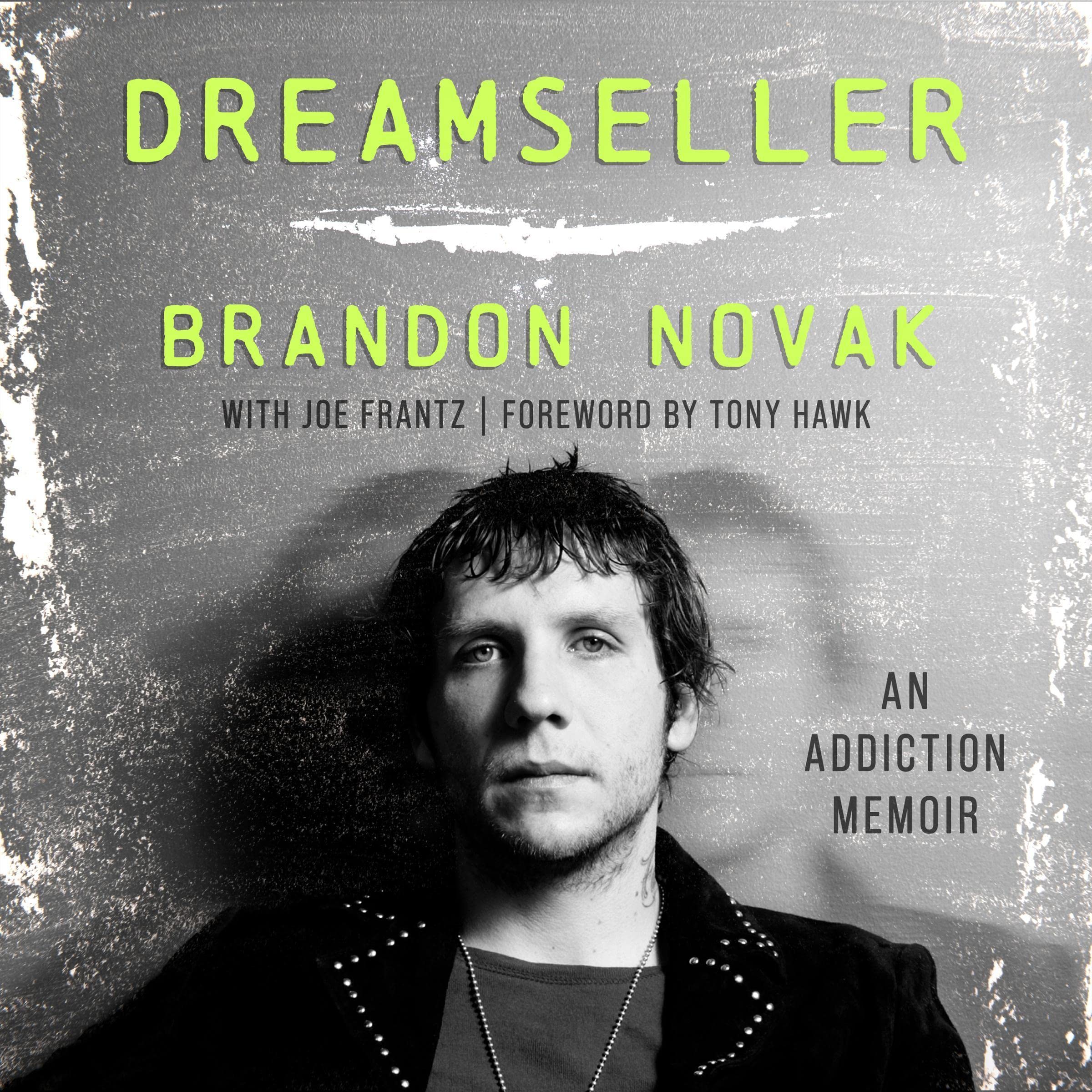 Cover art for Dreamseller