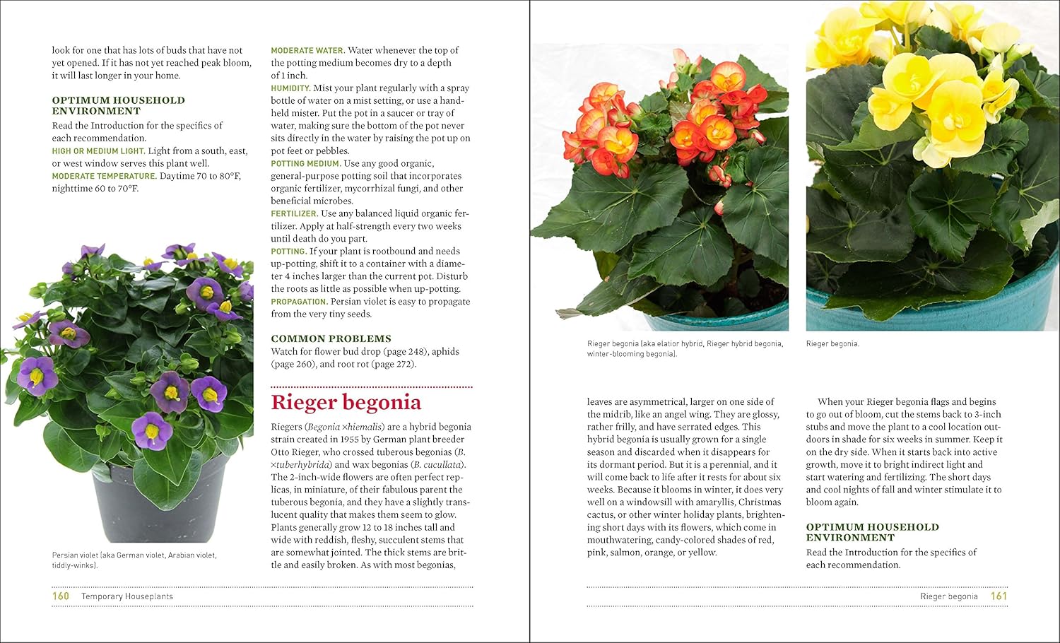 What's Wrong With My Houseplant?: Save Your Indoor Plants With 100% Organic Solutions      Paperback – January 1, 2016