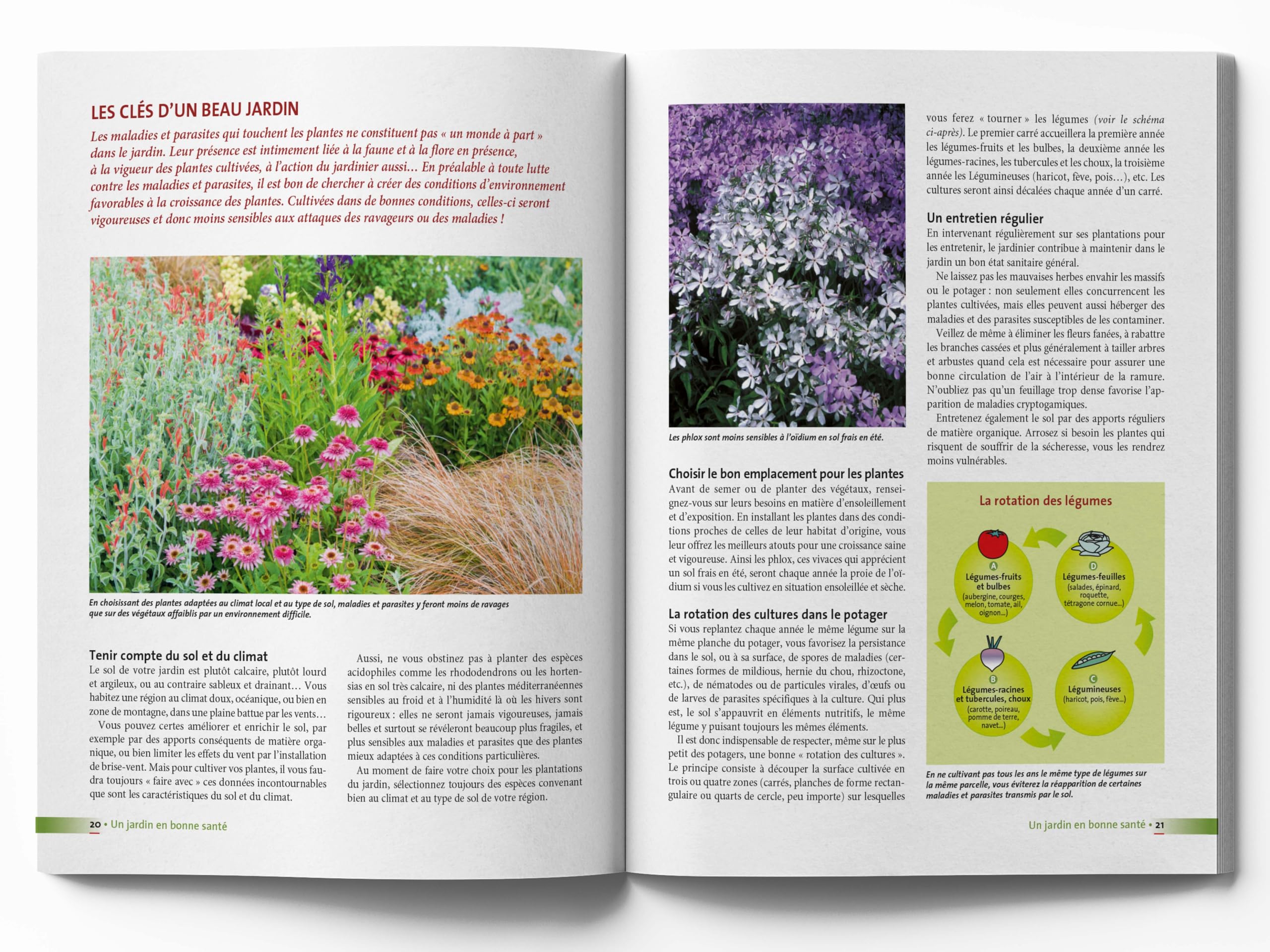 Le traité rustica des maladies et des indésirables au jardin: Plante par plante