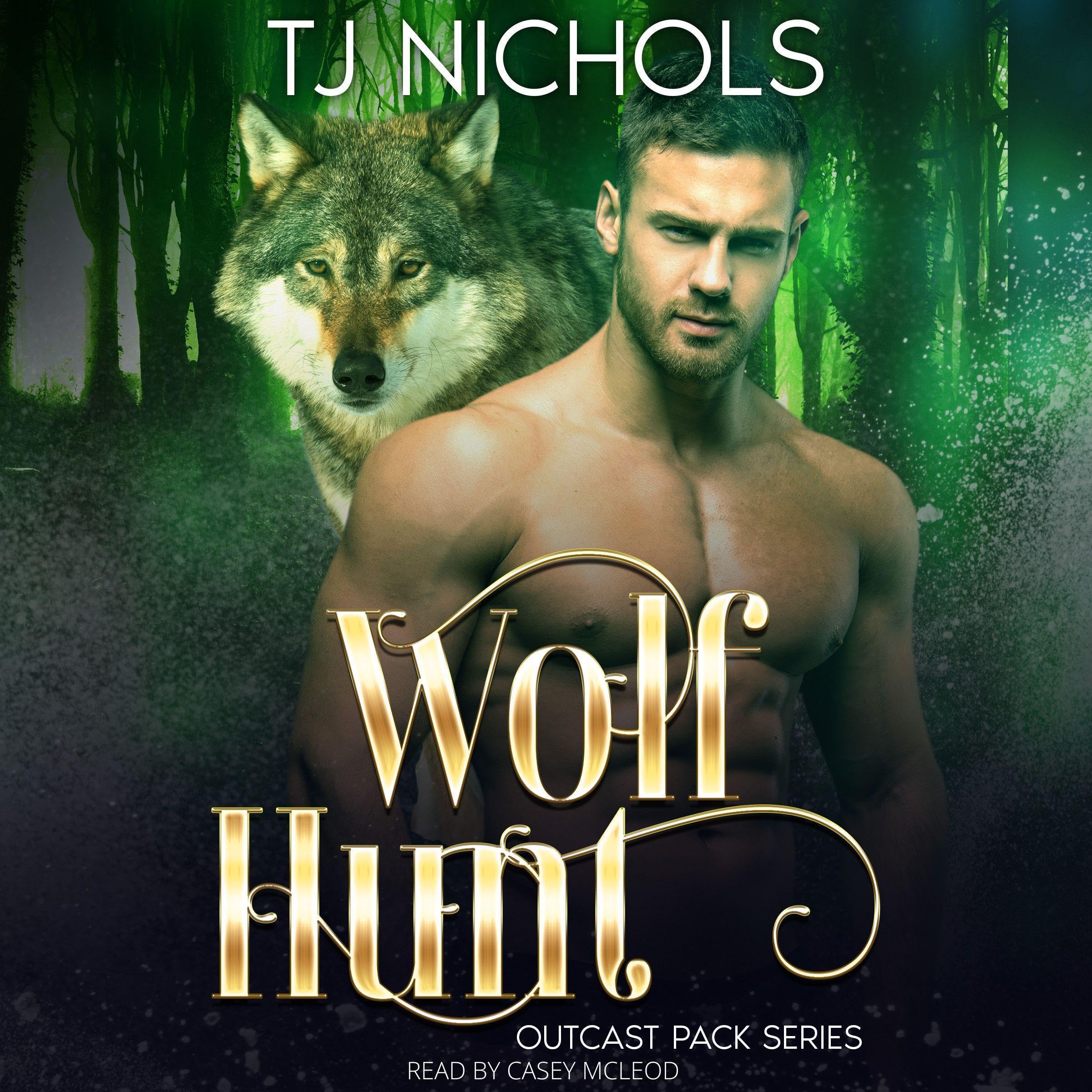 Cover art for Wolf Hunt