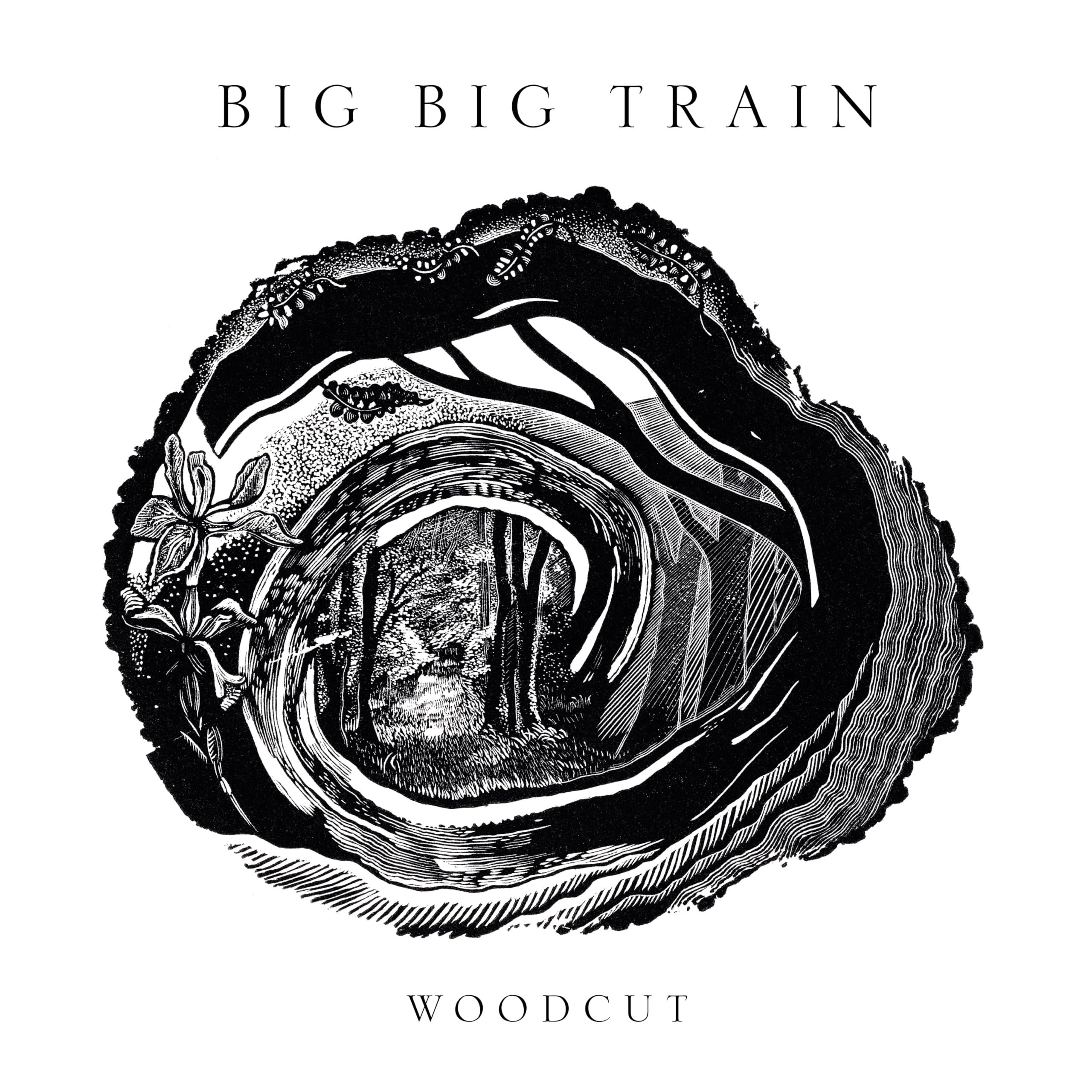 BIG BIG TRAIN - WOODCUT  SEALED CD 2026 PROGRESSIVE TOCK