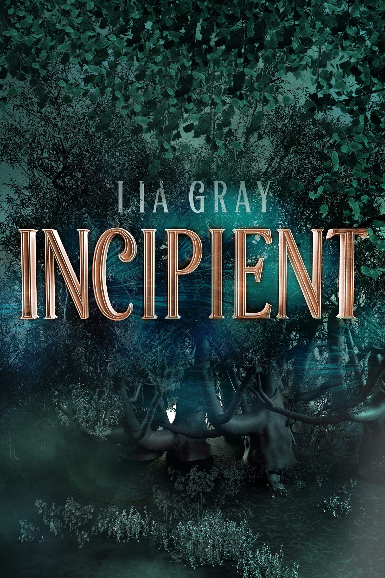 Incipient (The Perfectionist Series Book 1)