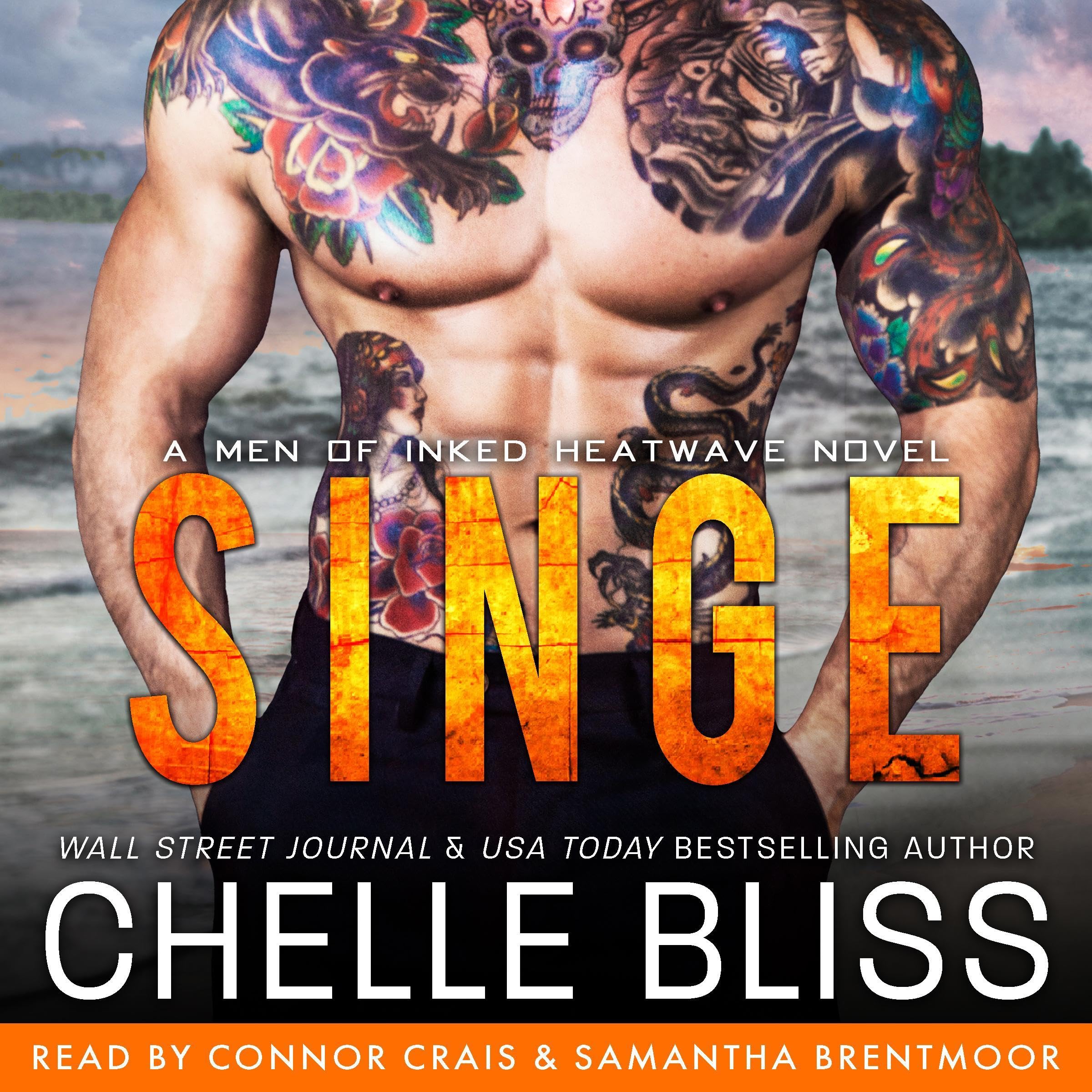 Cover art for Singe