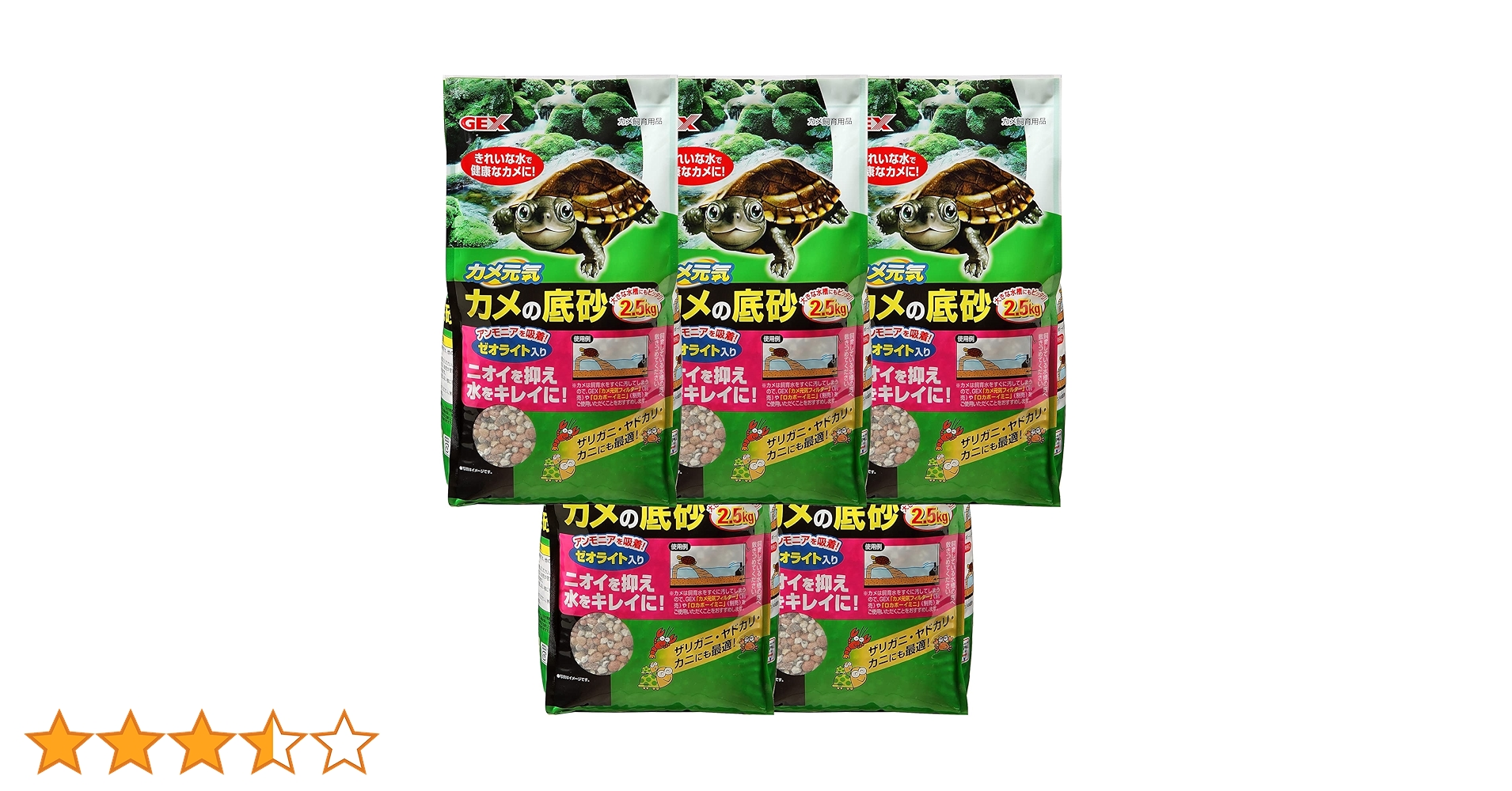 カメメ カメマンネン-72P – メガネストアー 公式オンラインショップ