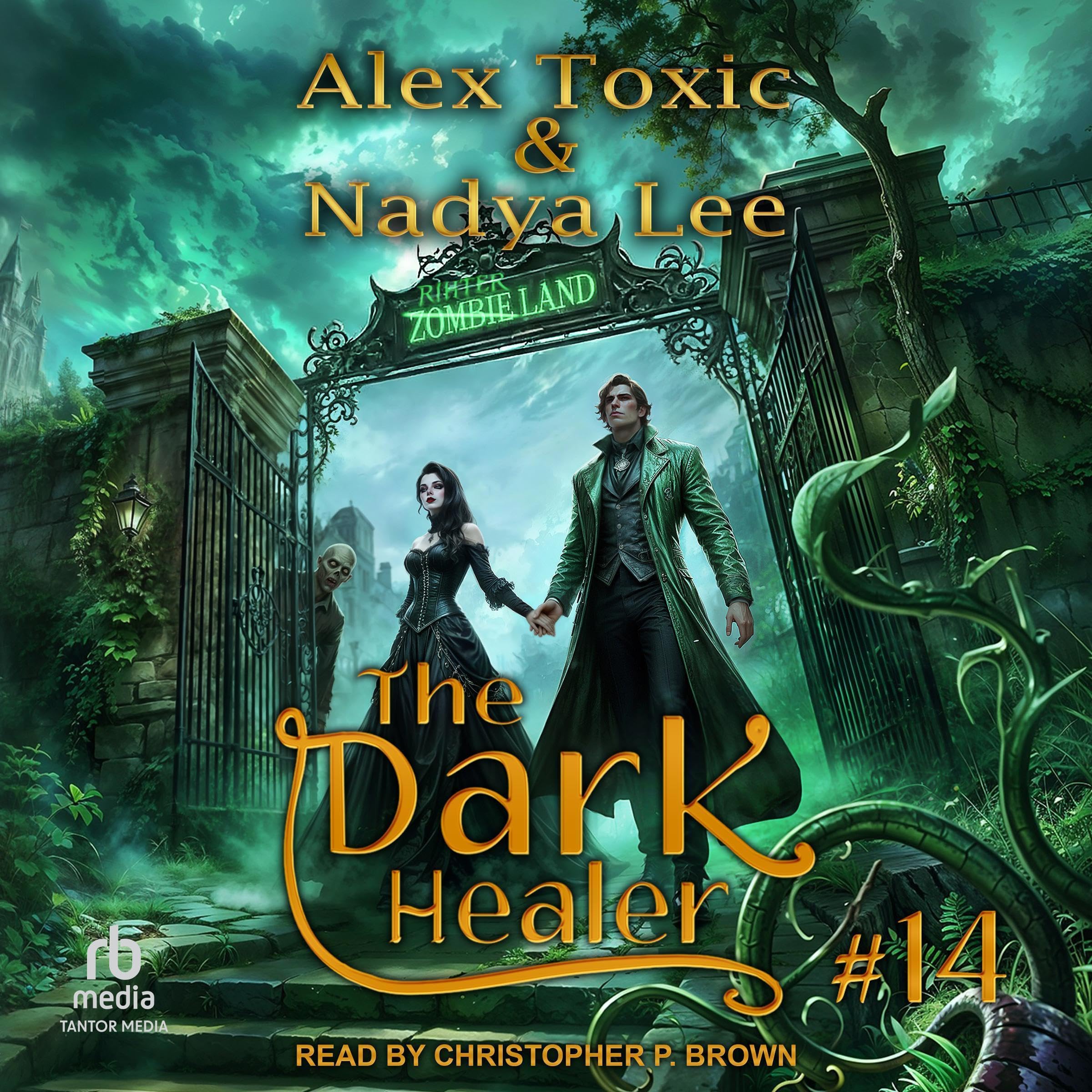 Cover art for The Dark Healer: Book 14