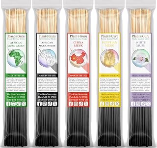 Musky Incense Sticks Variety Set Bulk 500 Pack Sampler 11" Sticks - 5 Bundles of 100 Sticks Per Bundle. Set Includes - African Musk Green, African Musk White, China Musk, Egyptian Musk, White Musk.