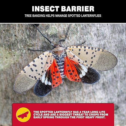 Miniatura 6 de Catchmaster - Kit de barrera adhesiva para insectos para bricolaje, 1 unidad de trampa adhesiva protectora de 15 onzas, lista para usar al aire