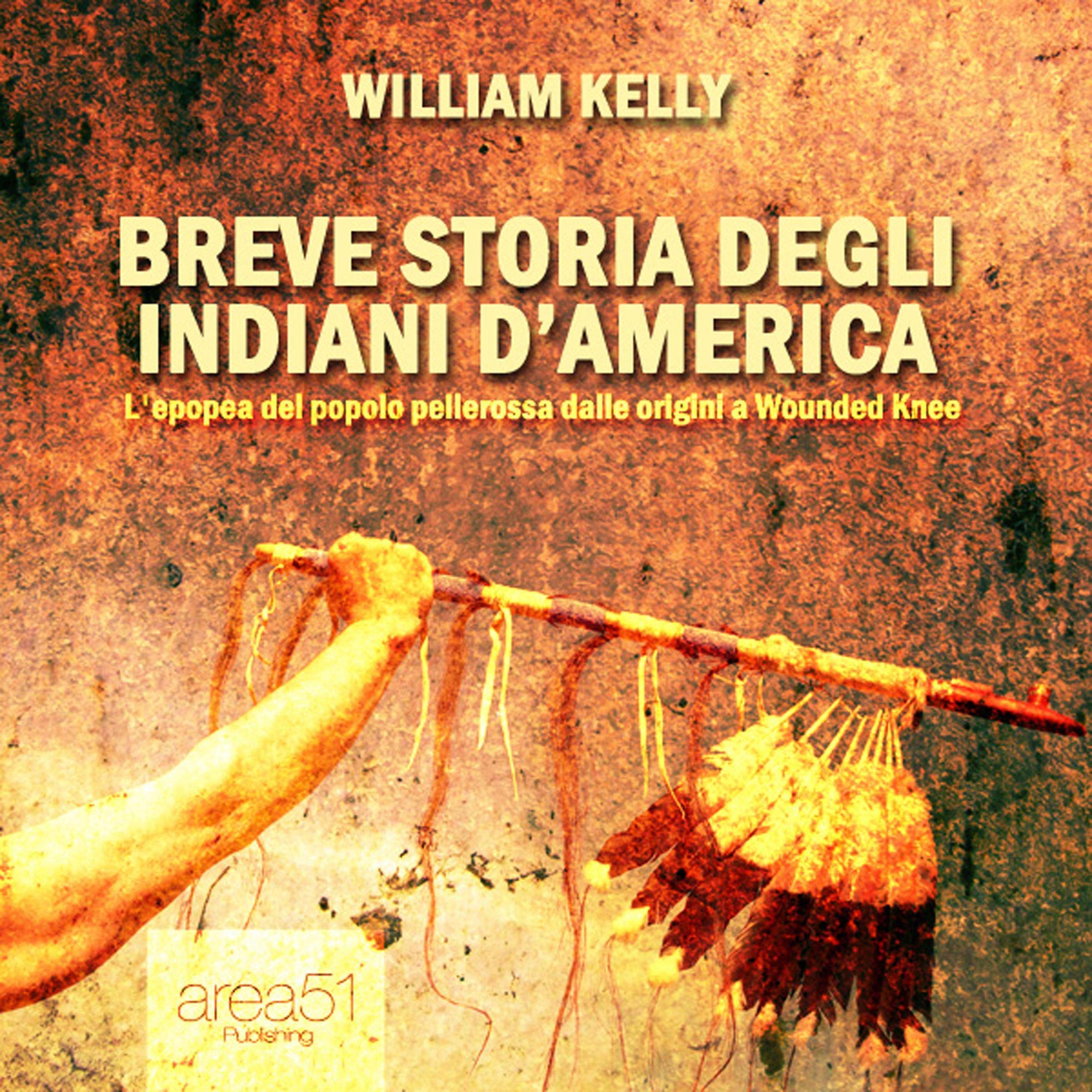 Cover art for Breve storia degli indiani d'America [A Brief History of the Native Americans]