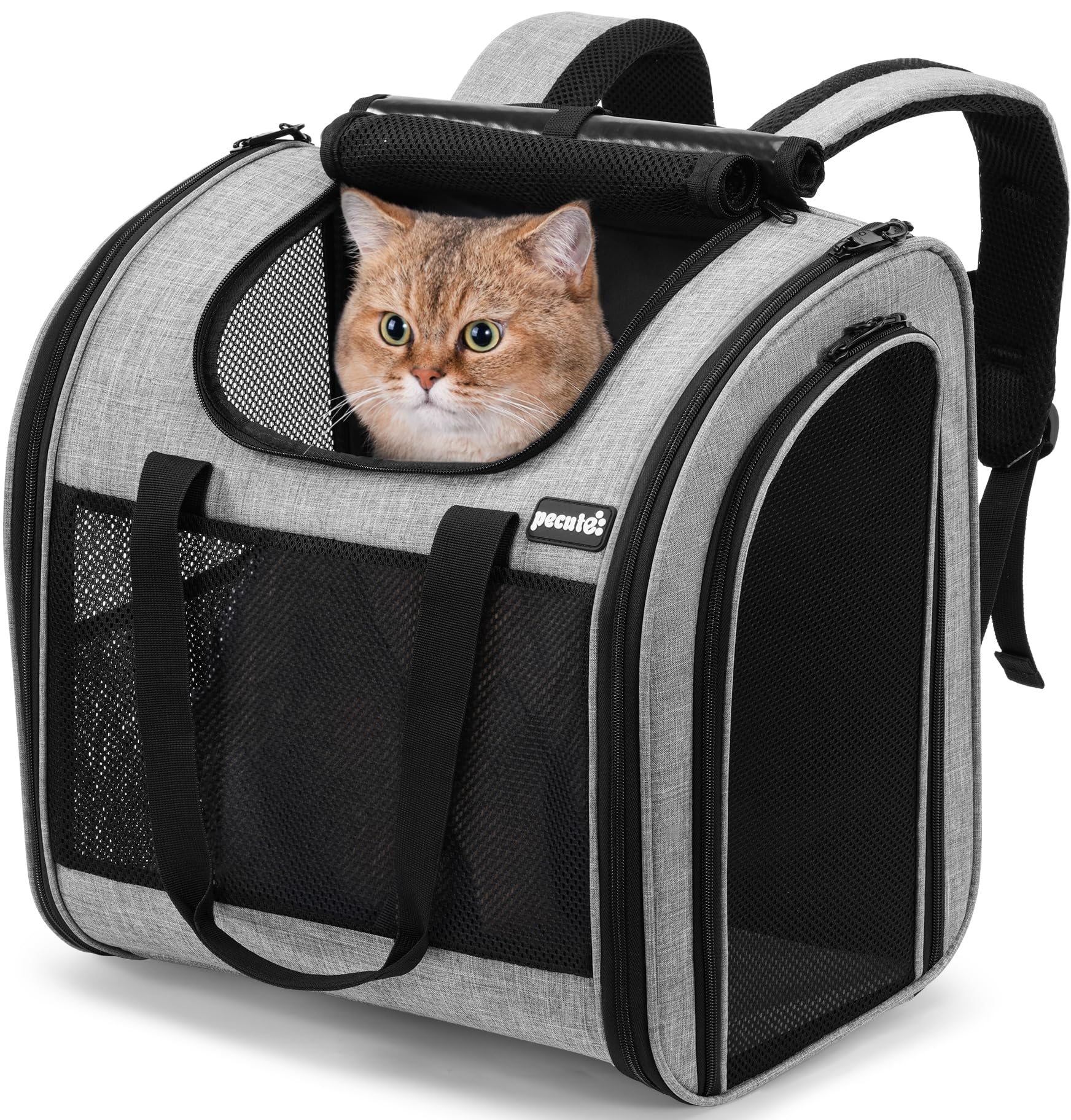 pecute cat backpack with widened interior space, upgraded dog backpack carrier with various ways to carry, pet backpack with breathable mesh, pet travel carrier with soft padded, reinforced support