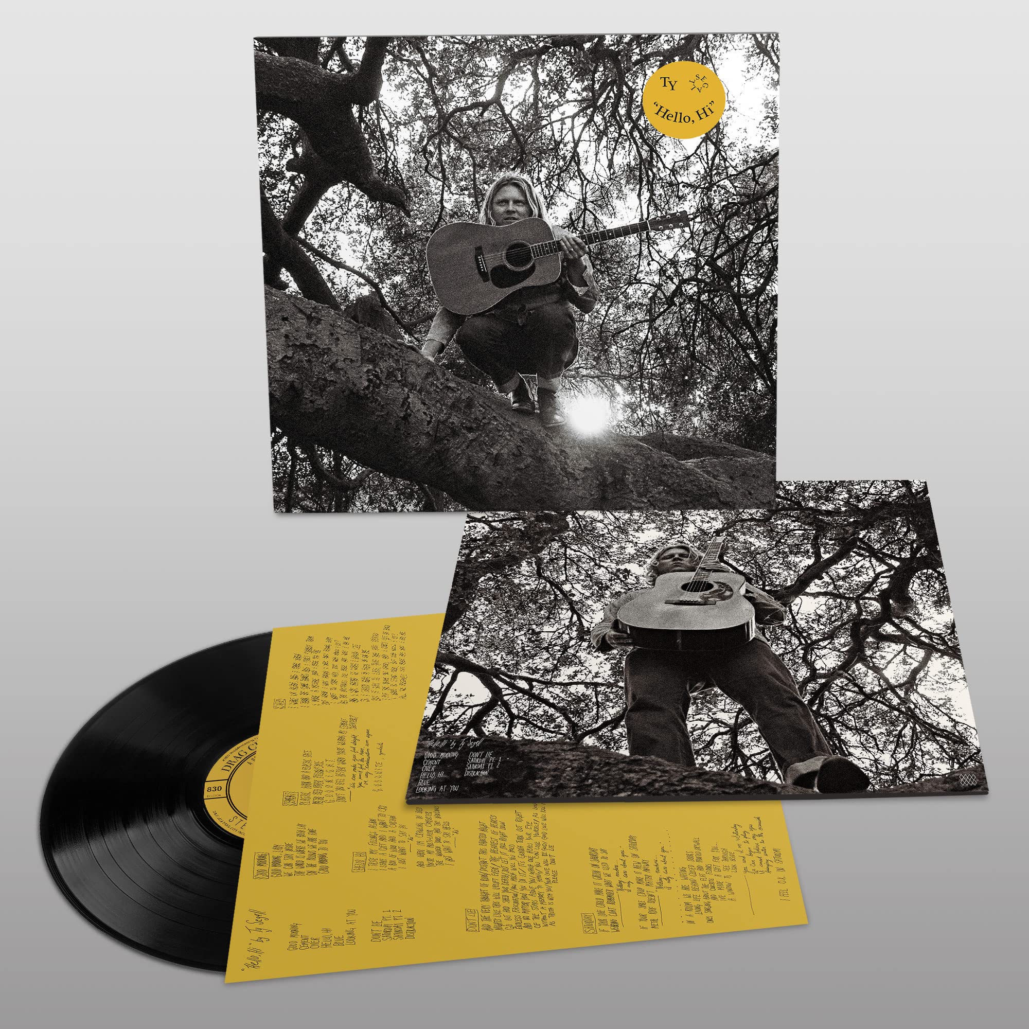 Hello, Hi [VINYL]