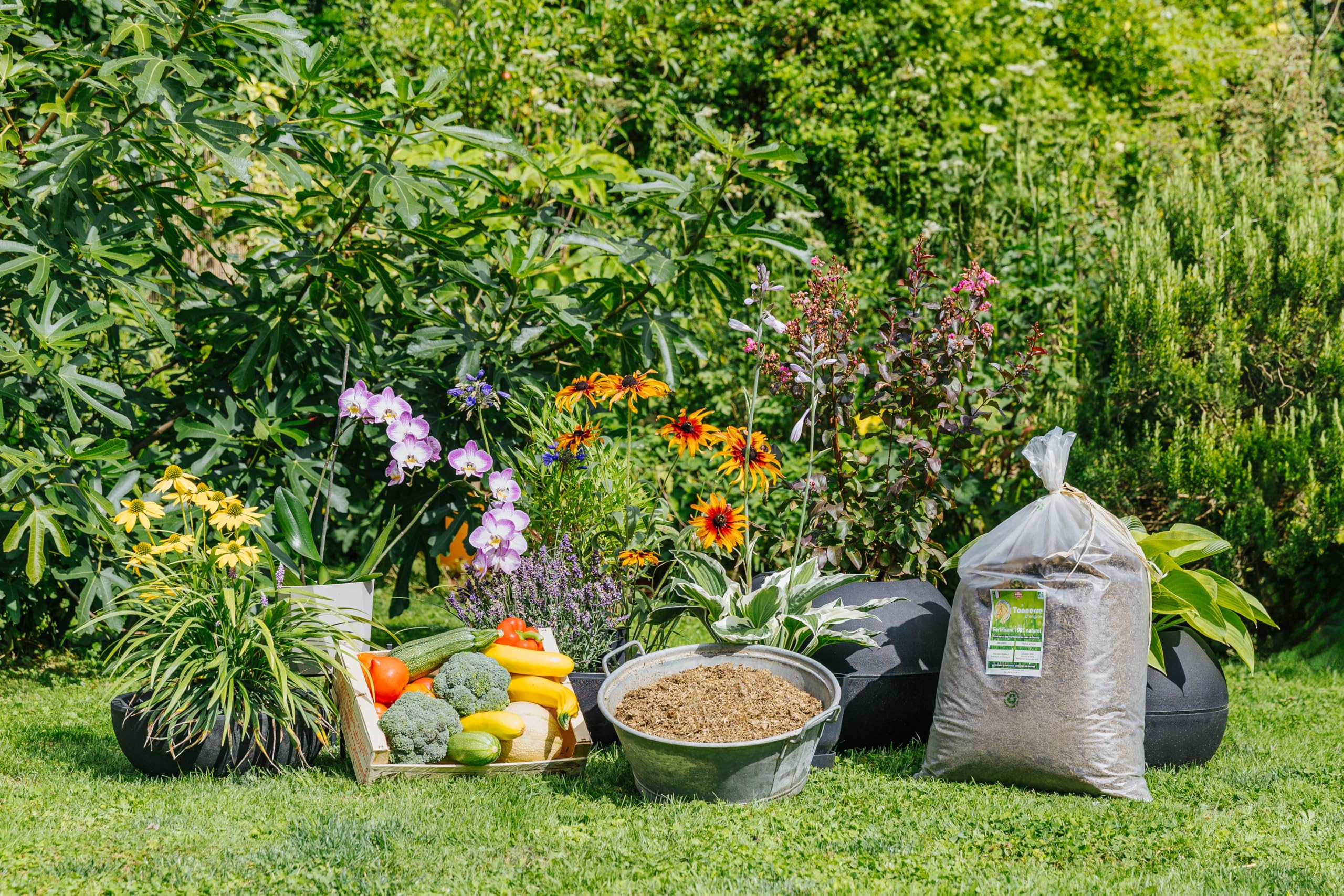 Tonnerre d'Engrais Fertilisant Naturel, 100% crottin de cheval, 4KG Organique pour Potager, plantes intérieur et extérieur