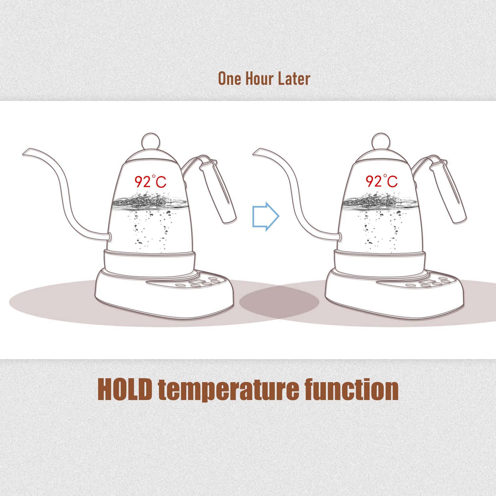 Buy Diguo Variable Temperature Digital Electric Gooseneck Kettle, Pour