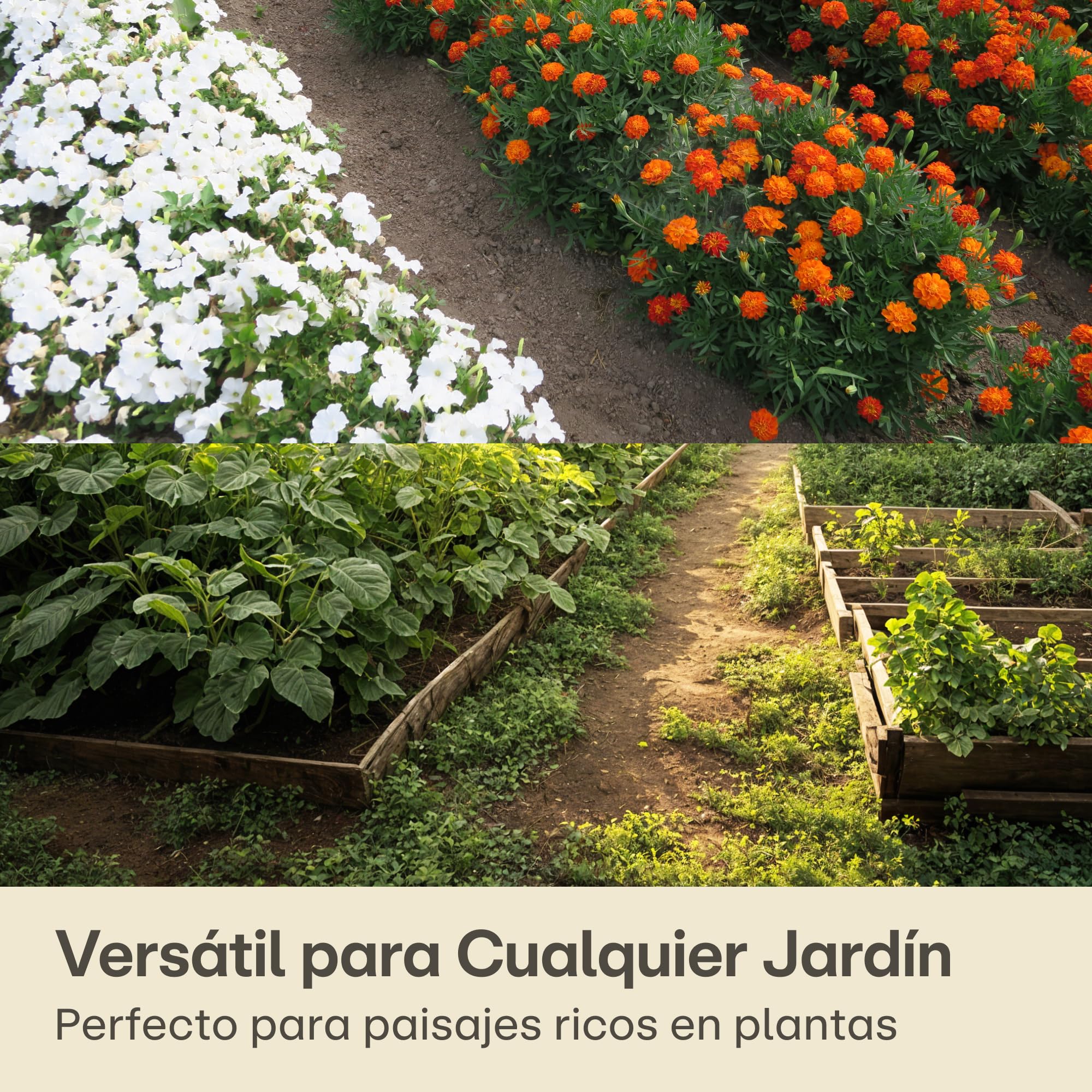 Praknu Malla Antihierbas Huerto - Tela 100g/m2-50m2 en Rollo - con 24 Grapas de Sujeción - Permeable & Resistente - Estable Ante UV - para Jardin - Negro