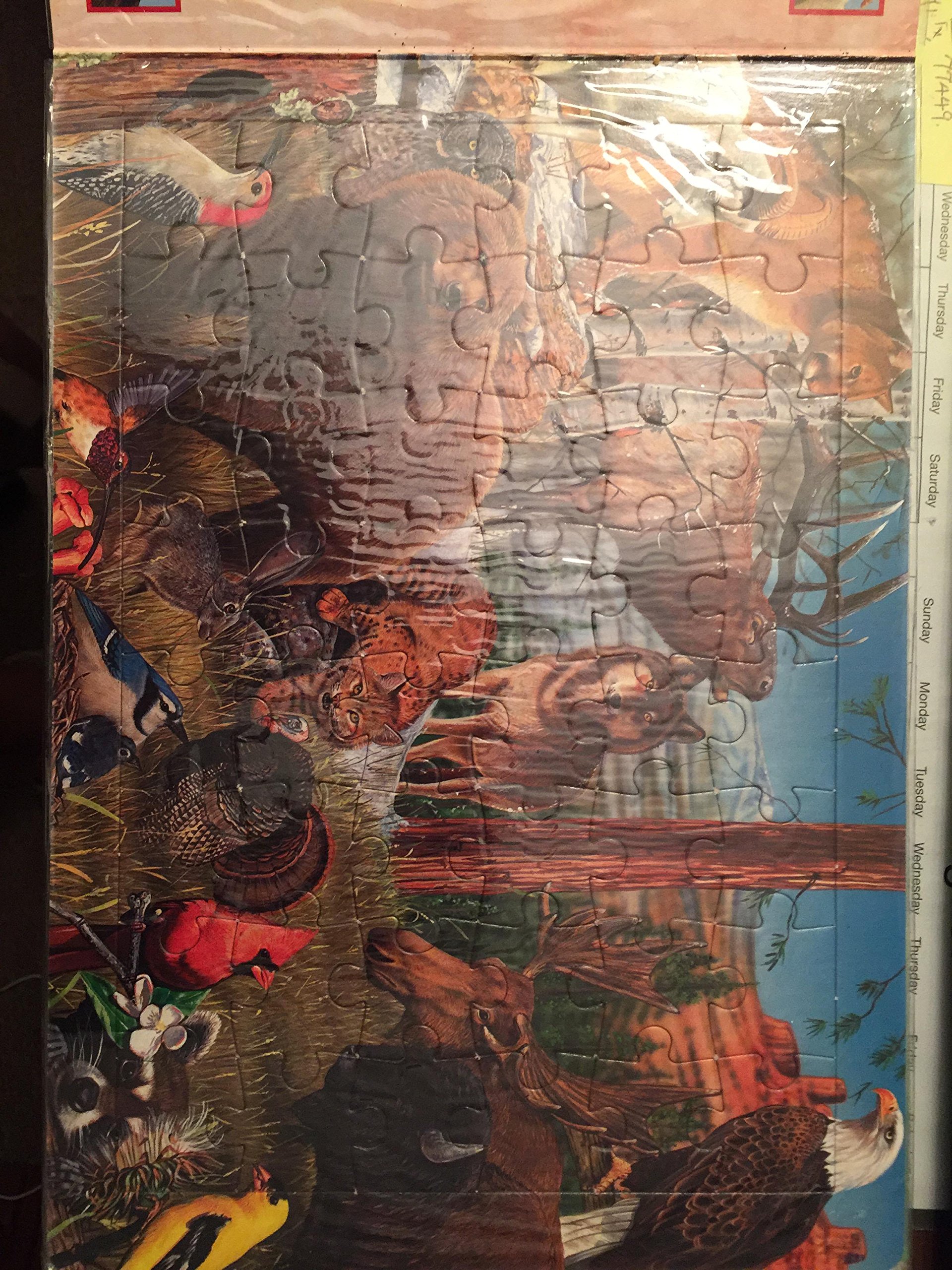 Animals of the World [With 6 48-Piece Jigsaws] [Hardcover] Garry Fleming - PT04