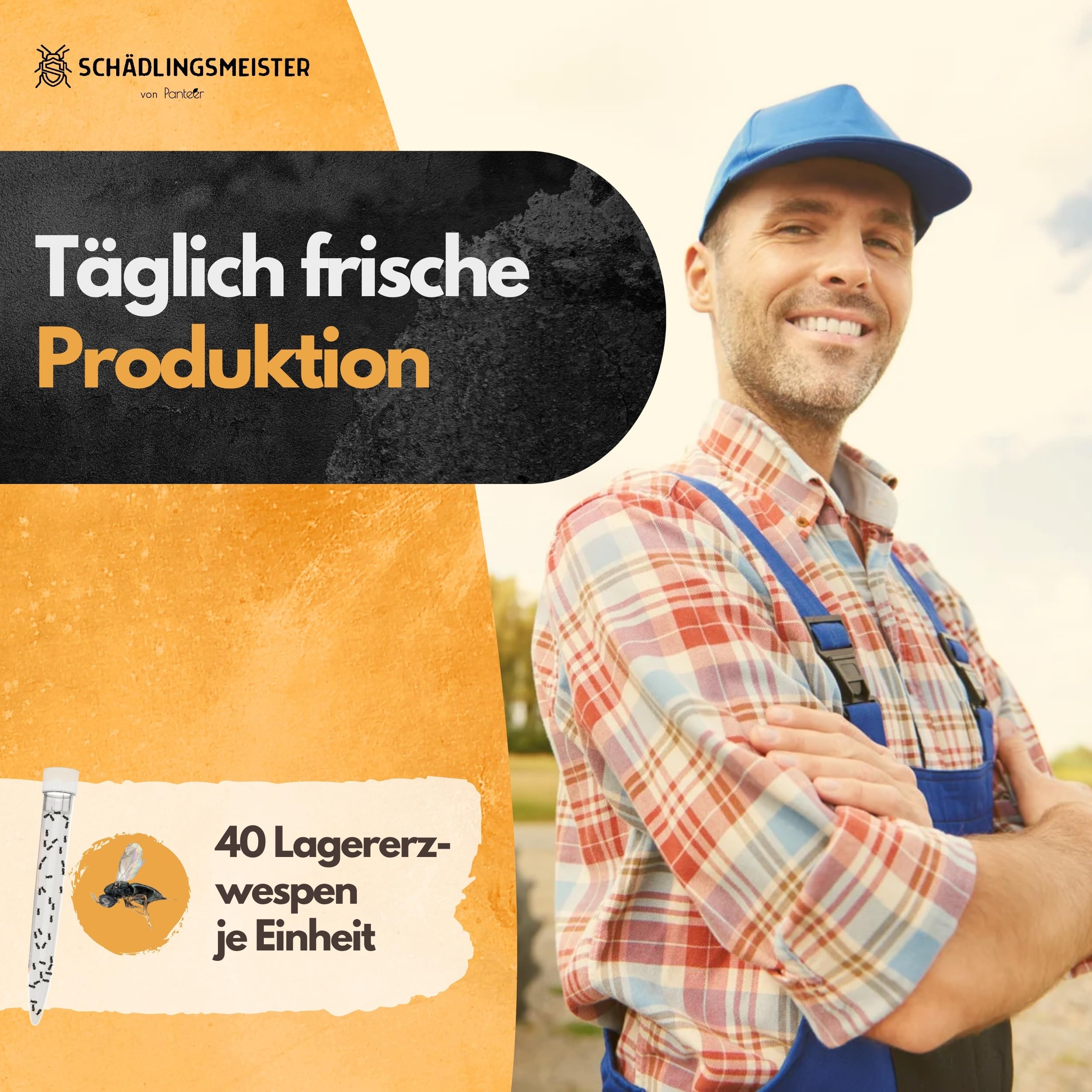 Panteer ® Lagererzwespen - 40 Nützlinge - Brotkäfer bekämpfen und Kornkäfer bekämpfen - Besser als Brotkäfer Falle - Zwei Arten für hohe und kühle Temperaturen - Made IN Germany (1 Stück)