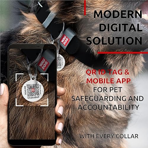 Miniatura 5 de WAUDOG Collar de cuero de larga duración para perros grandes, medianos y pequeños Collares clásicos ajustables para cachorros de raza grande