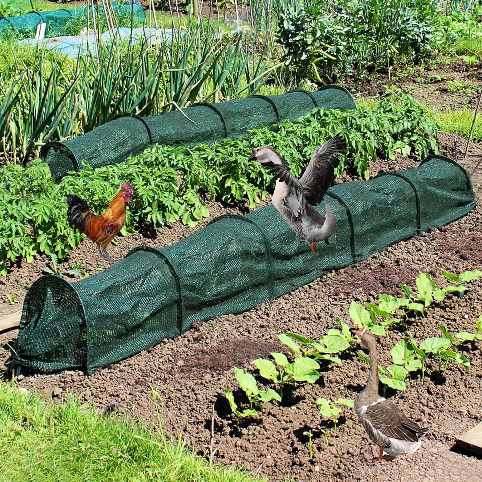 Lot de 3 arches tunnel professionnelles pour serre - 300 x 45 x 45 cm - Arceaux en acier galvanisé très résistants - Protection contre le gel, le vent et la grêle - Parfait pour les jardins, les