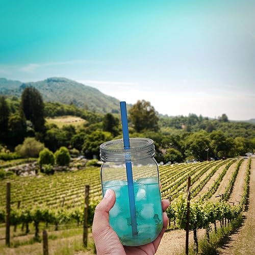 Miniatura 8 de DISCOUNT PROMOS Juego de 10 tarros de plástico con pajita, 24 onzas, paquete a granel, tarros para avena nocturna, dulces, frutas, pepinillos,