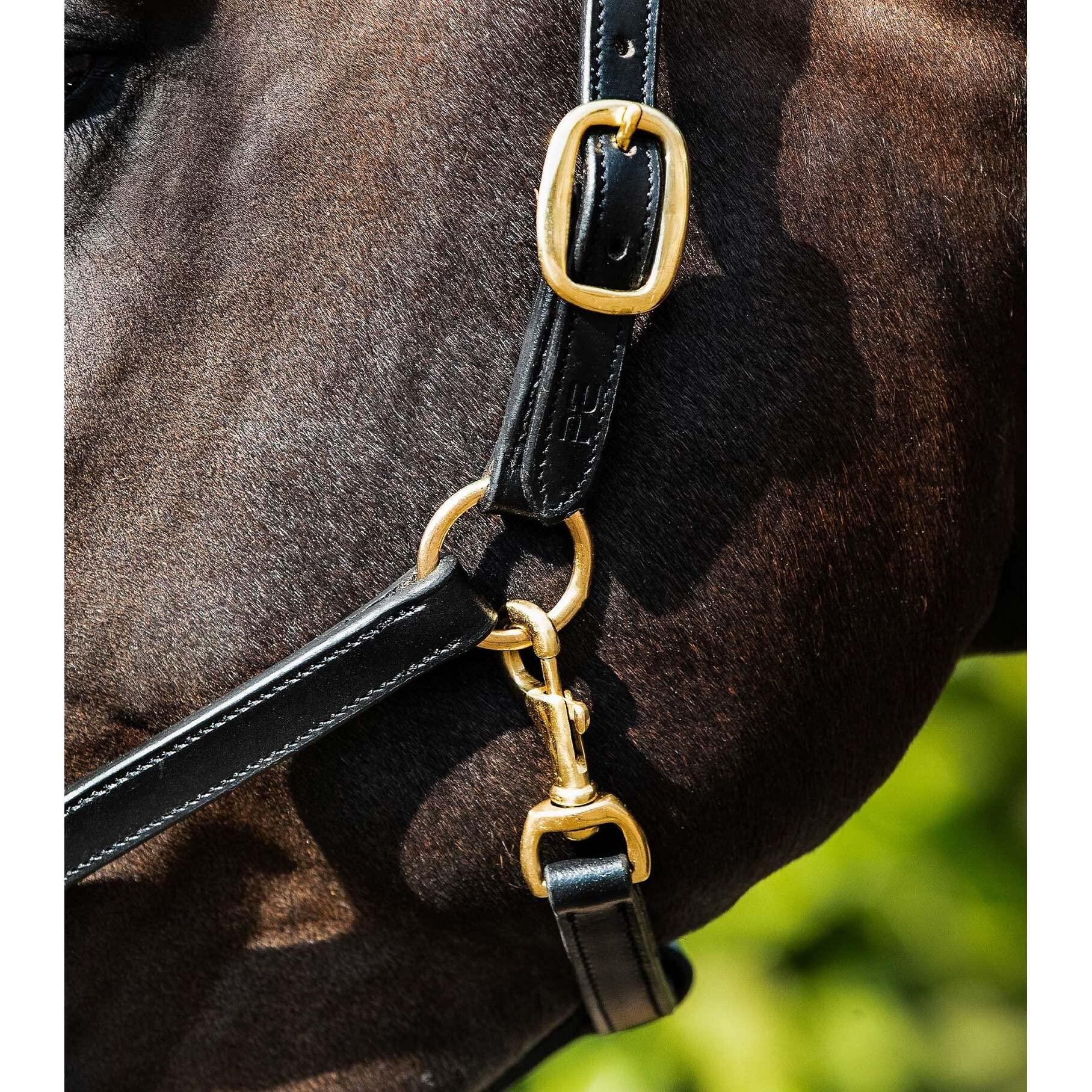 Premier Equine Cavezza per Cavalli Imbottita in Pelle