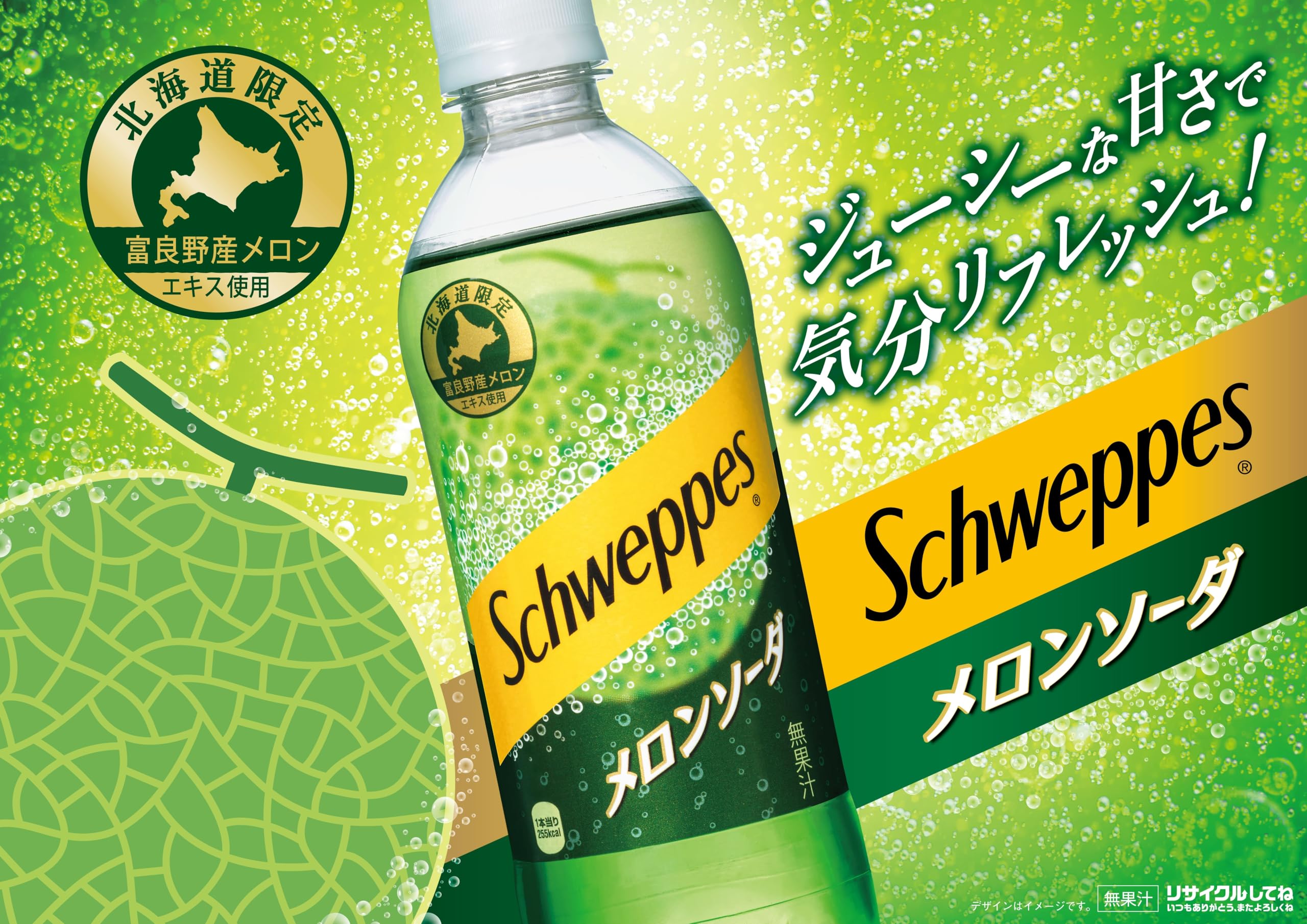 シュウェップス(Schweppes) メロンソーダ 490mlPET 24本