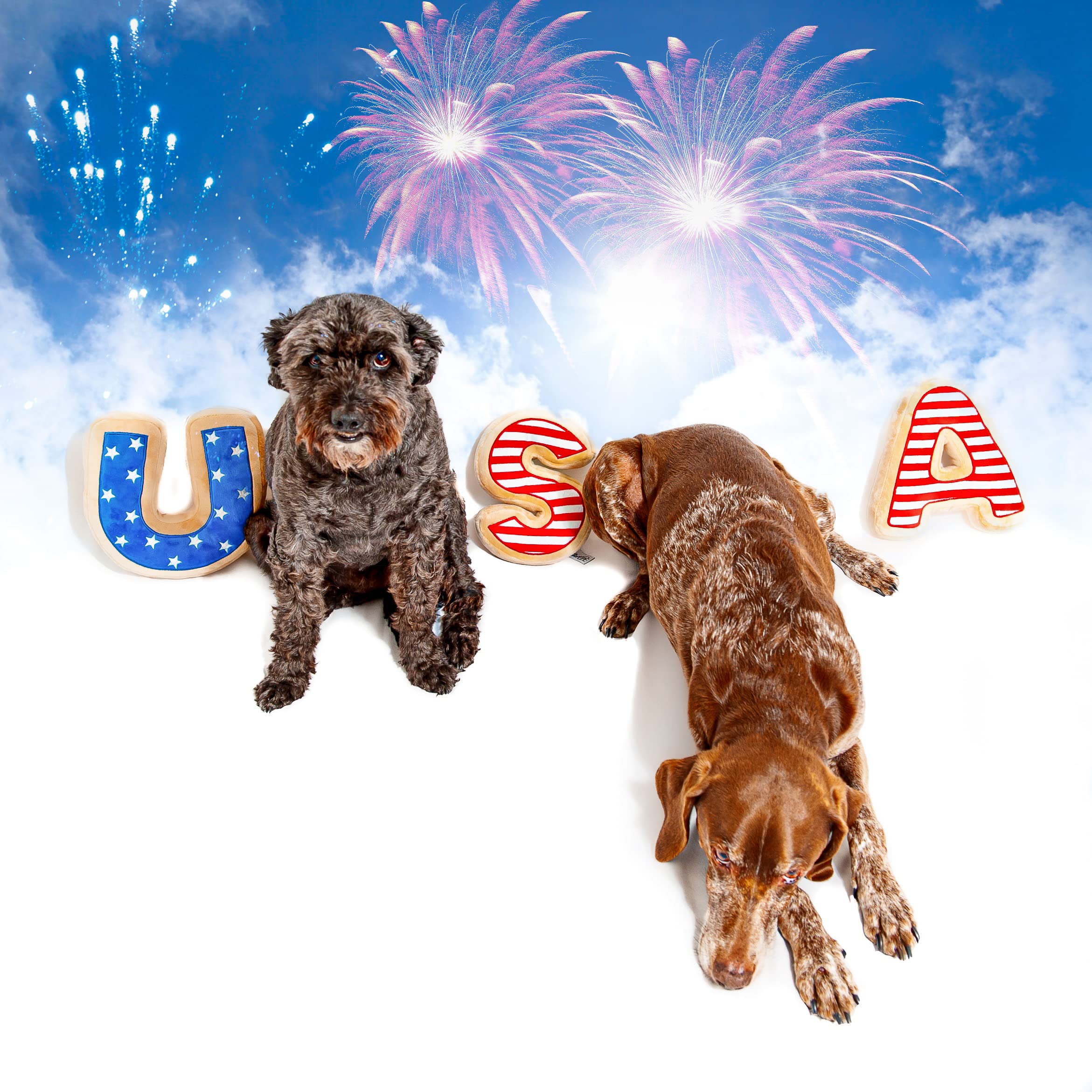 Jouet couineur en peluche pour chien - 4 juillet, jour commémoratif, patriotique (grand)