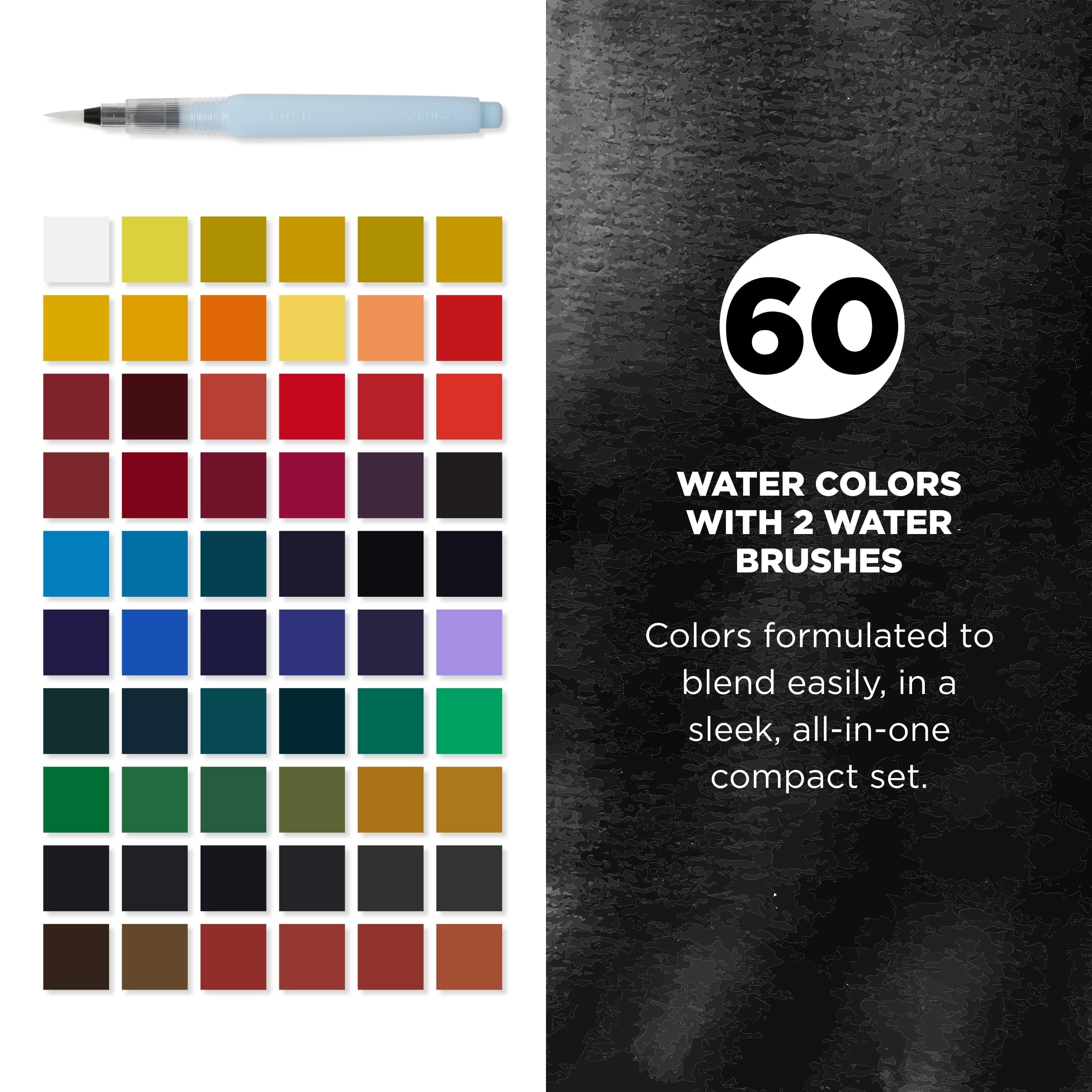 Amazon.com: SAKURA Koi Studio Watercolor Set, 60 Colors XNCW-60N