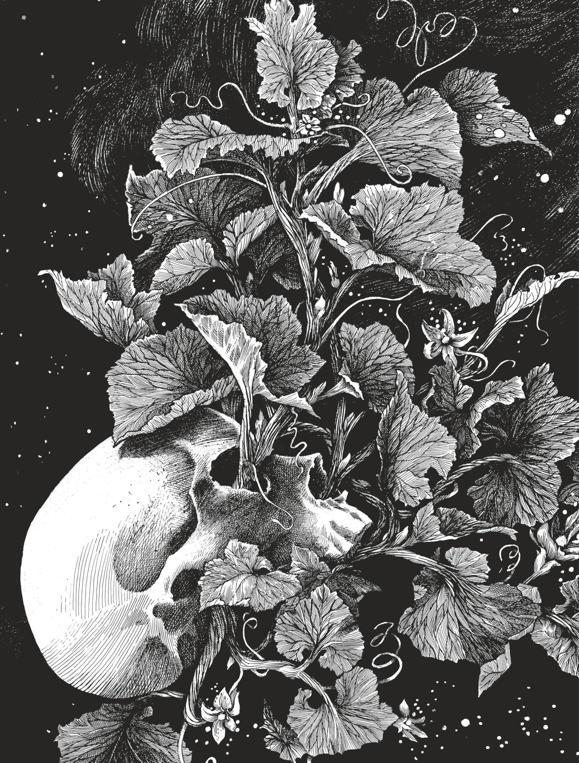 La tête de mort venue de Suède