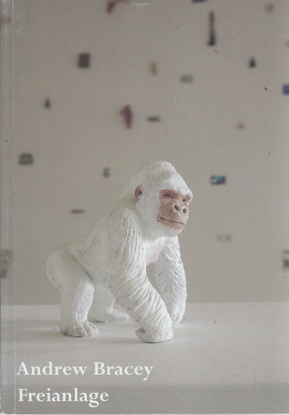 Monographie Andrew Bracey: Freianlage édition d'art de prestige