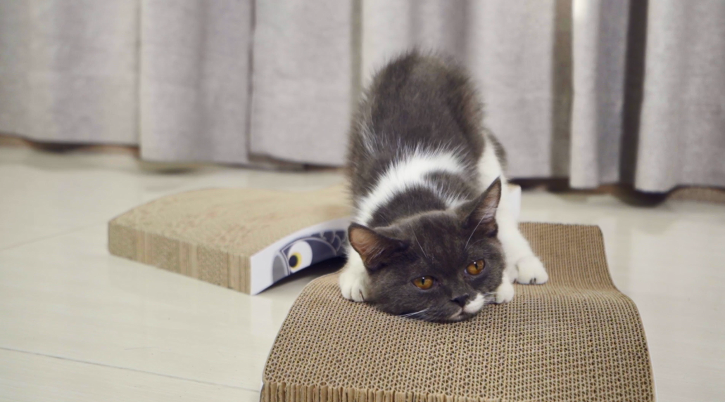 Eero 32" Modern Cardboard Foldable Lounge Cat Scratcher With Catnip, Blue/orange