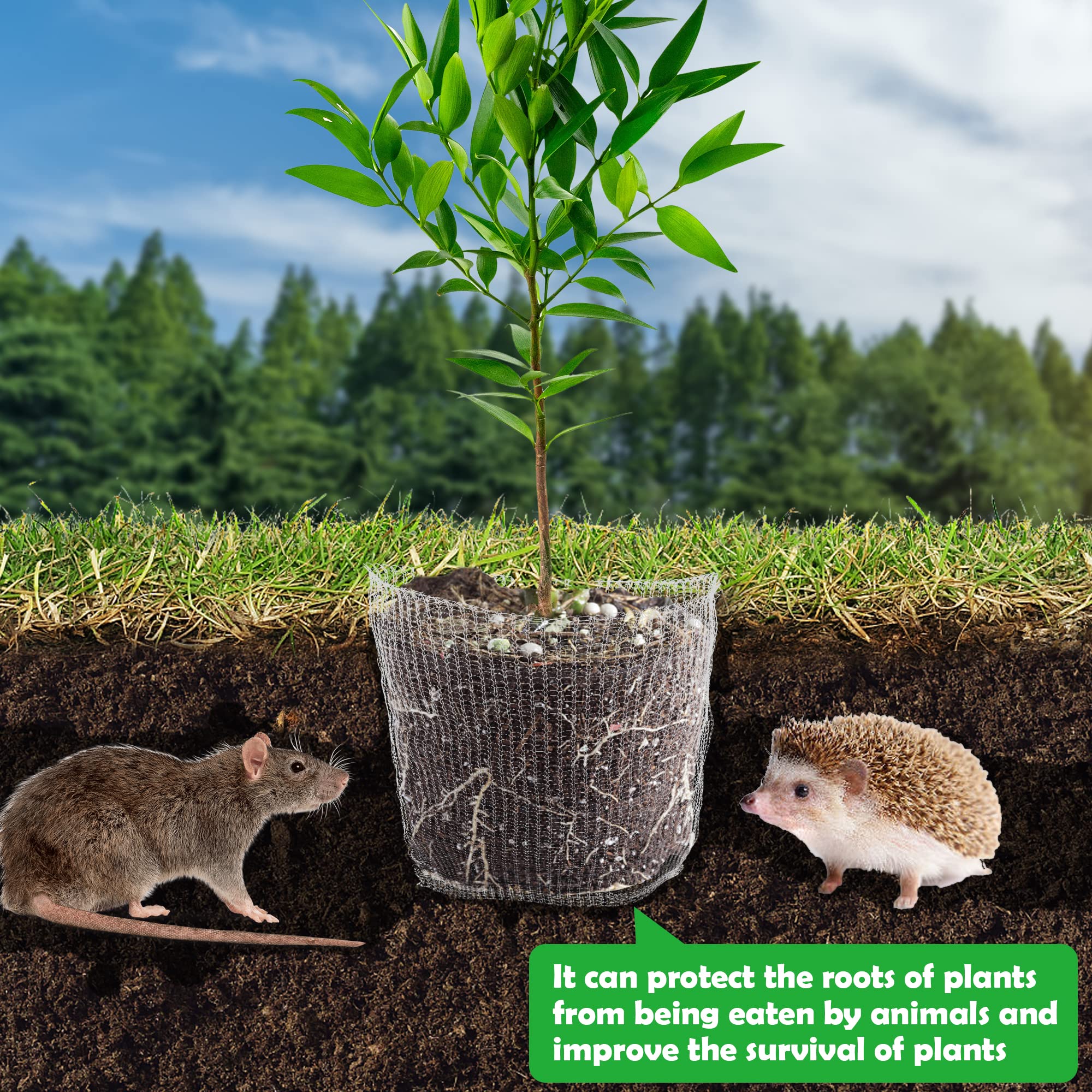6 cesti per piante di protezione per arvicole, cestino per arvicole, sacchetto in metallo da 1/3/5 galloni in acciaio inox, protezione per radici di alberi, fiori, verdure (6 pezzi