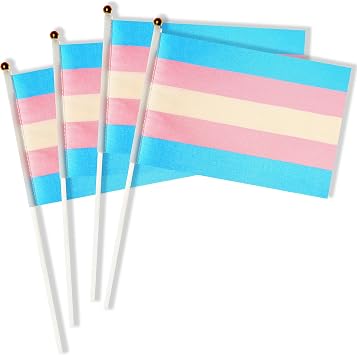 50 Pack Transgender Rainbow Pride Stick Flag,Small Mini Hand Held Flags On Sticks,Decorations Supplies For Mardi Gras,Transgender Pride Rainbow Party.