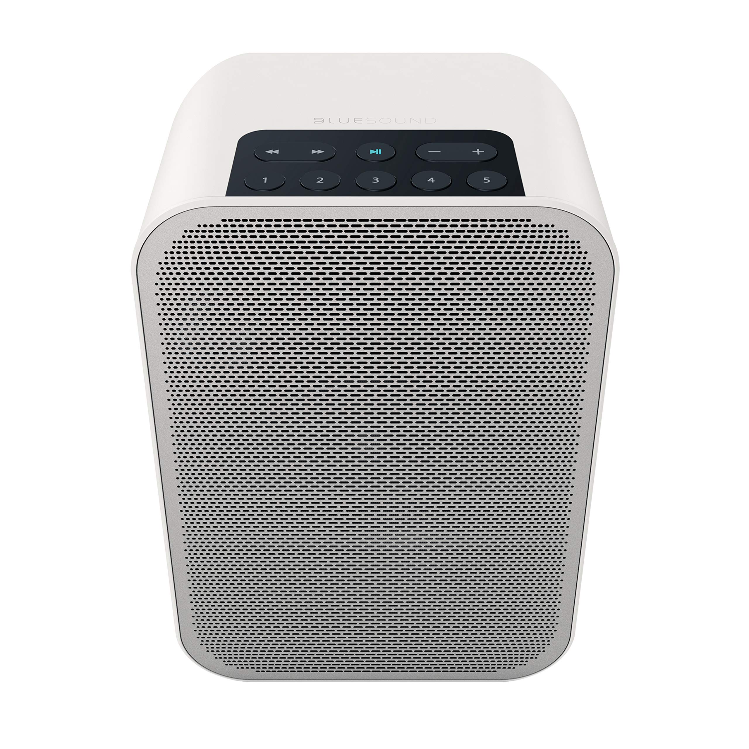 Bluesound Flex 2i + BP 100 Battery Pack (Set) (Blanco)
