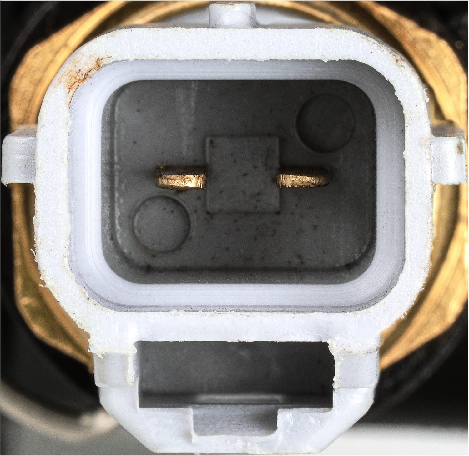 Gates CO35050 Coolant Outlets