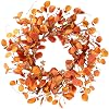 Sggvecsy Fall Wreath 20'' Autumn Harvest Wreath with Eucalyptus Berries, Silk Orange Leaves, Cape Gooseberries for Outside, Indoor, Home Wall, Festival, Thanksgiving, Farmhouse Decor